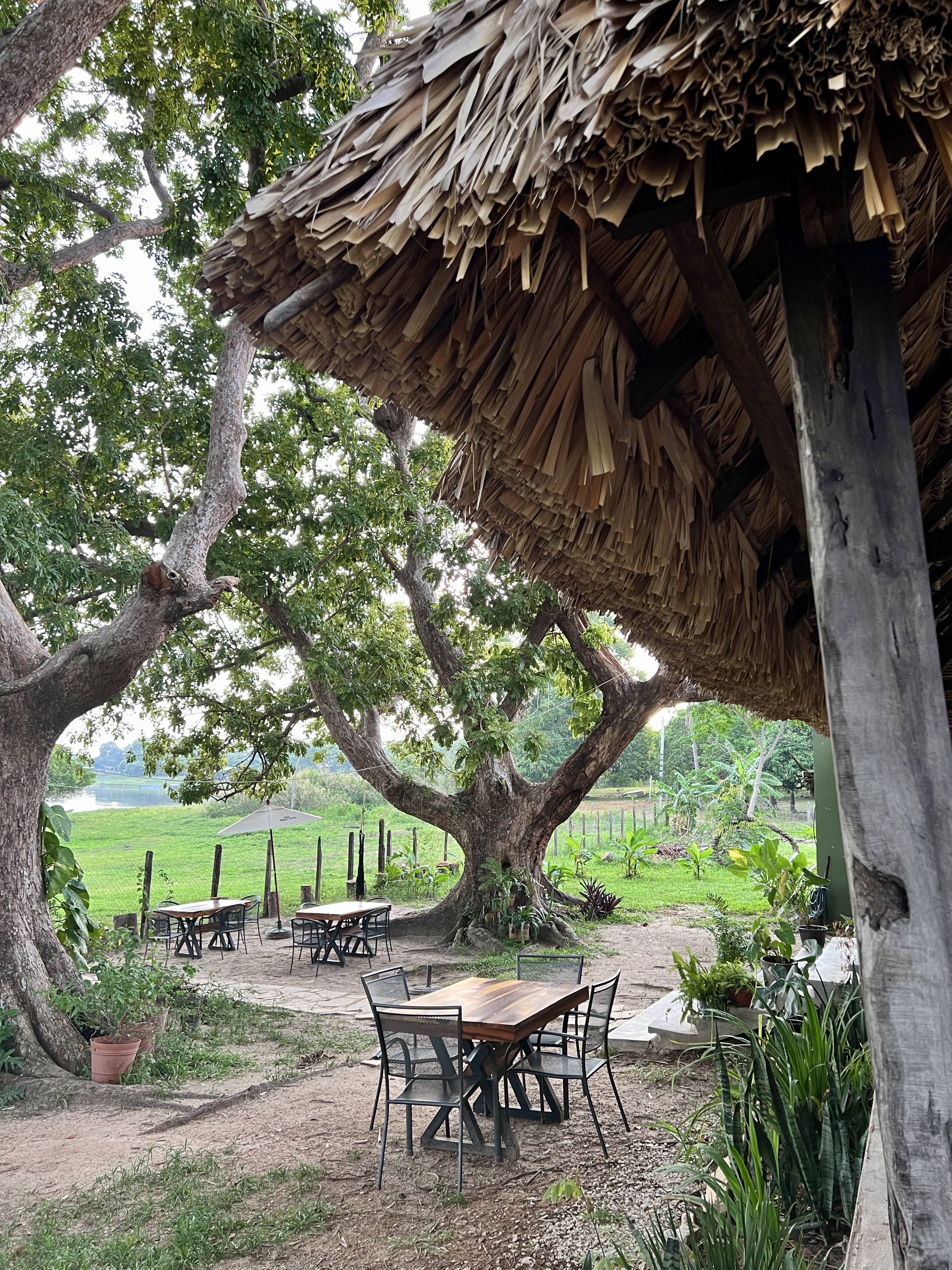 Maca's Restaurante image 4