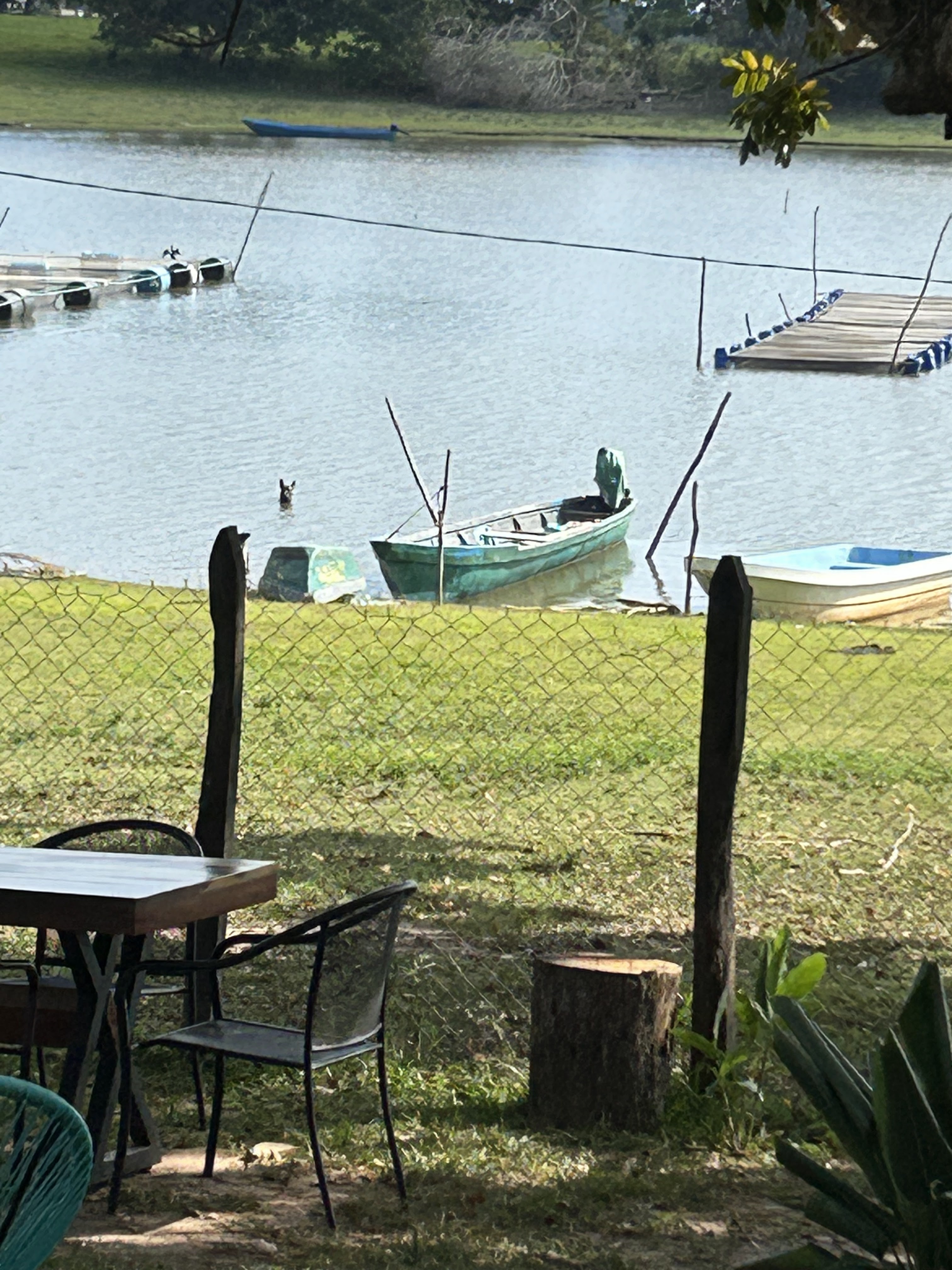 Maca's Restaurante image 10