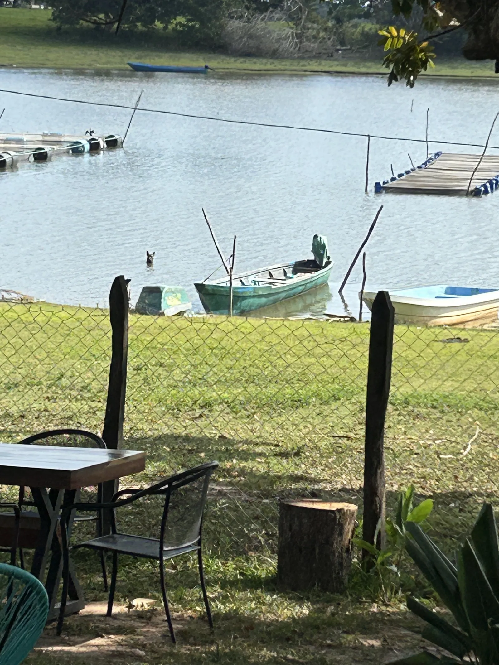 Maca's Restaurante image 10