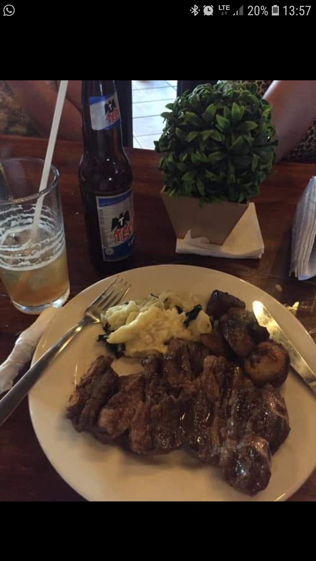 Brazyleña Palenque image 1