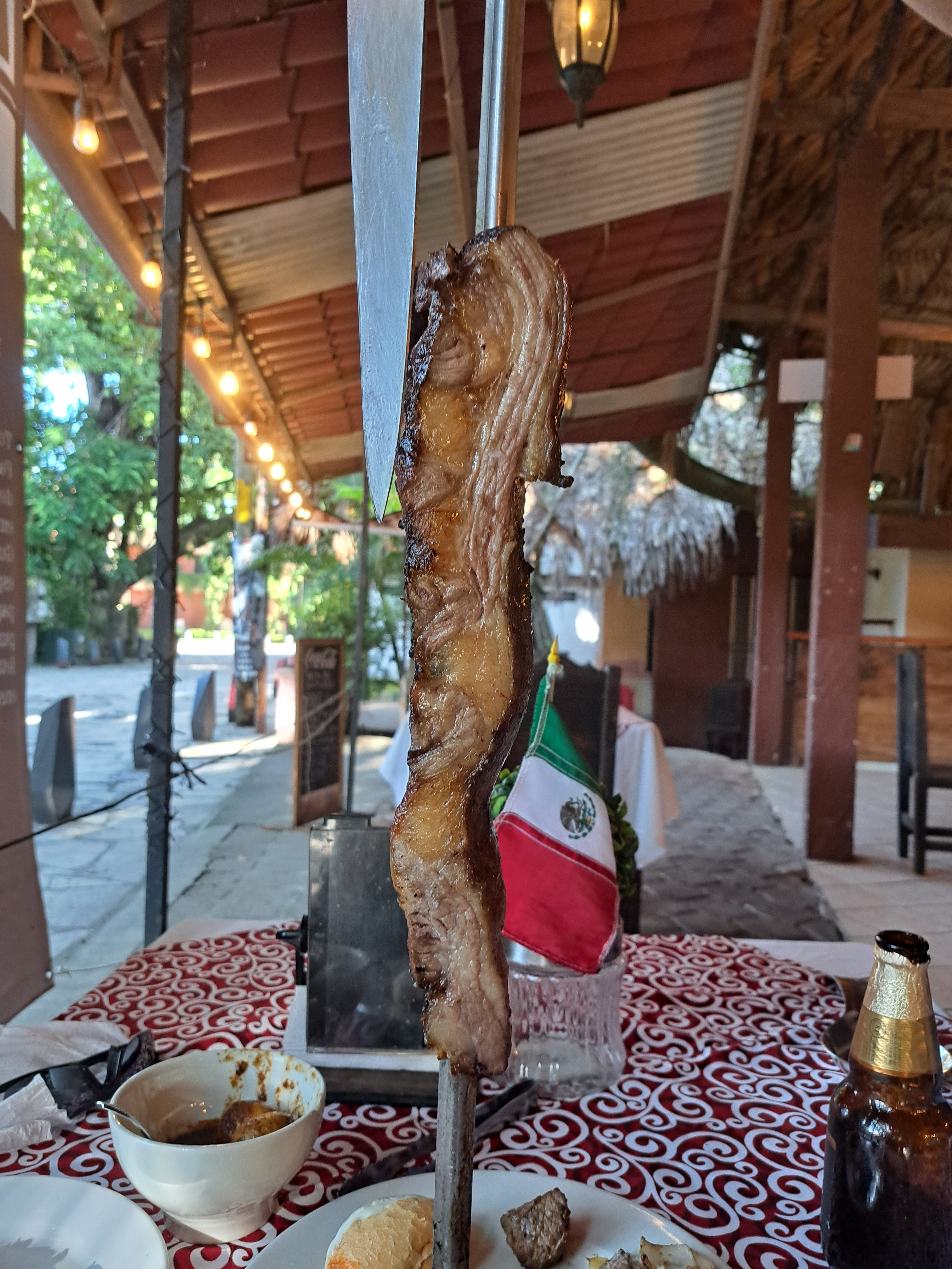 Brazyleña Palenque image 2