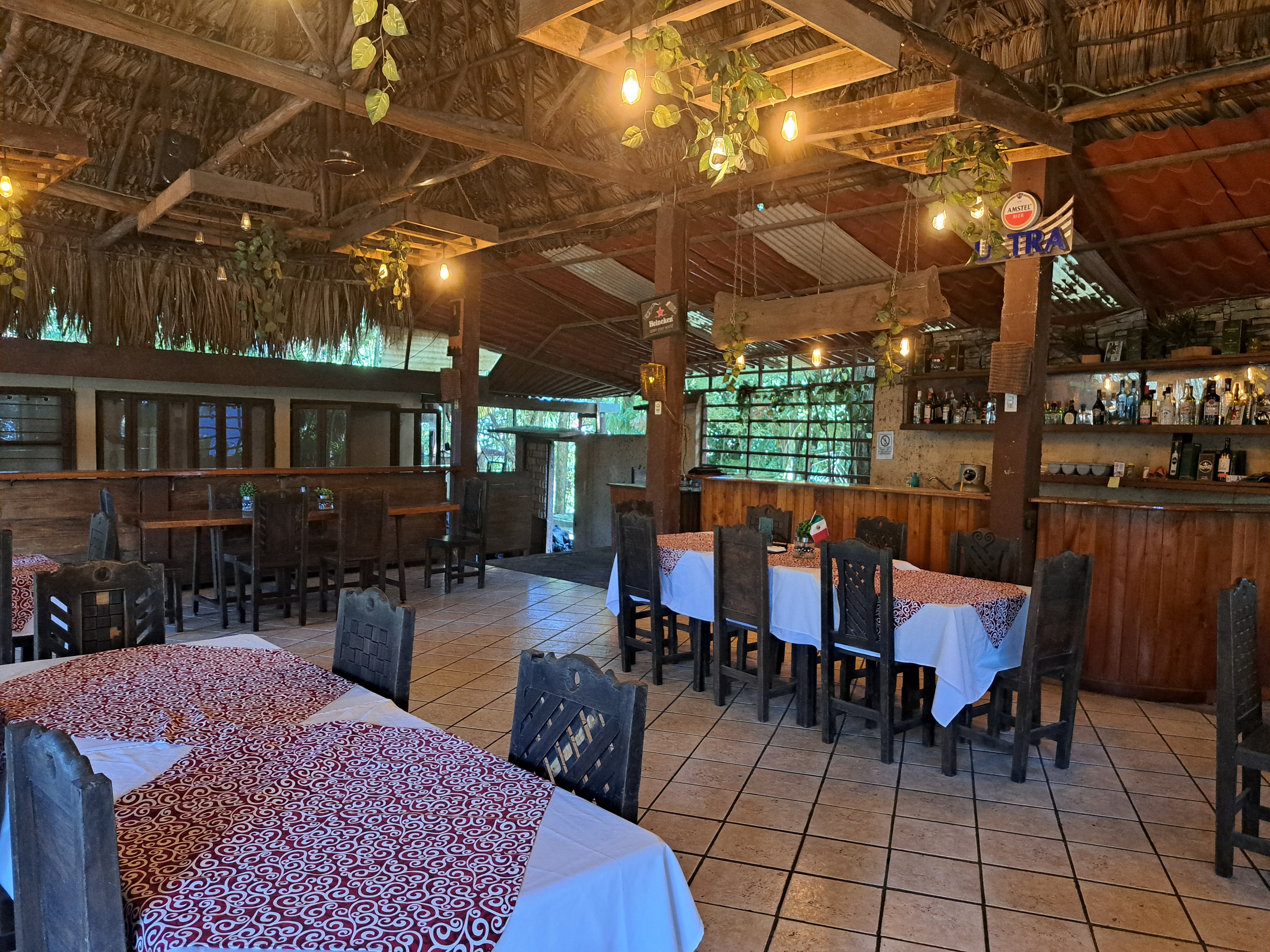 Brazyleña Palenque image 3