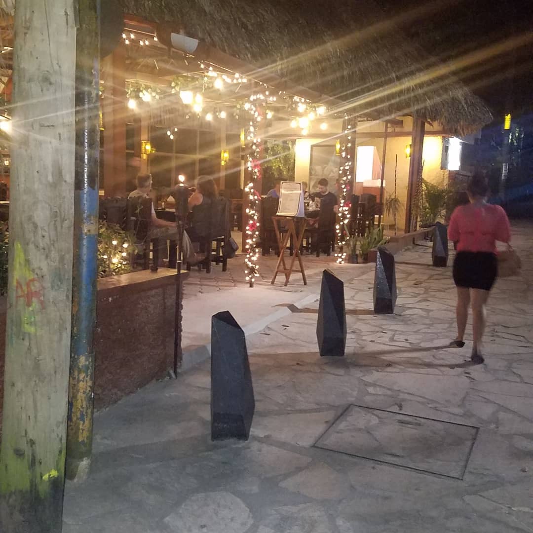 Brazyleña Palenque image 4