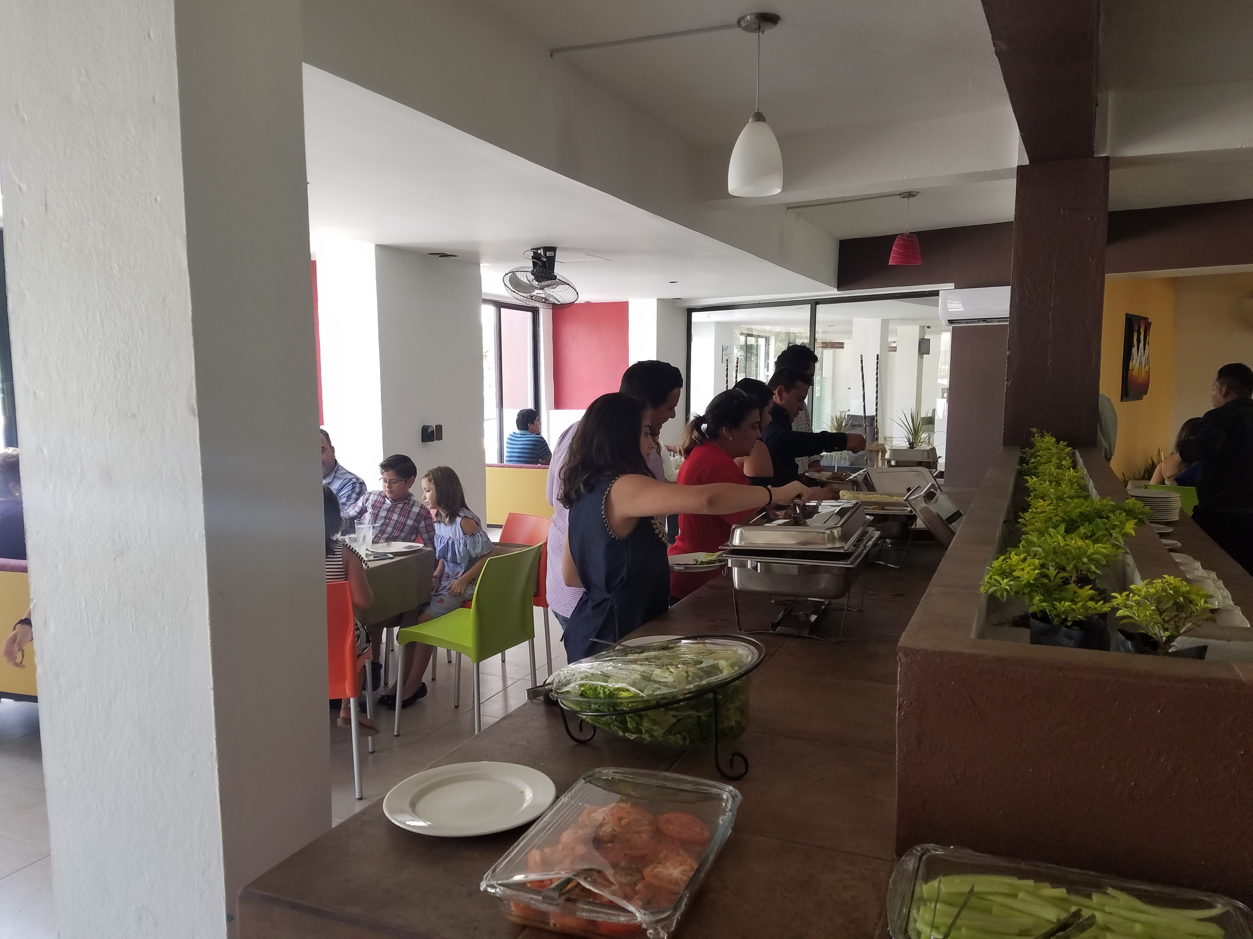 Brazyleña Palenque image 5