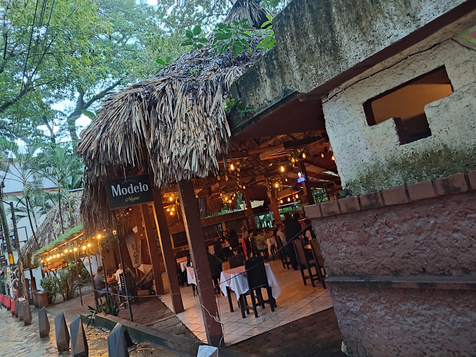 Brazyleña Palenque image 6