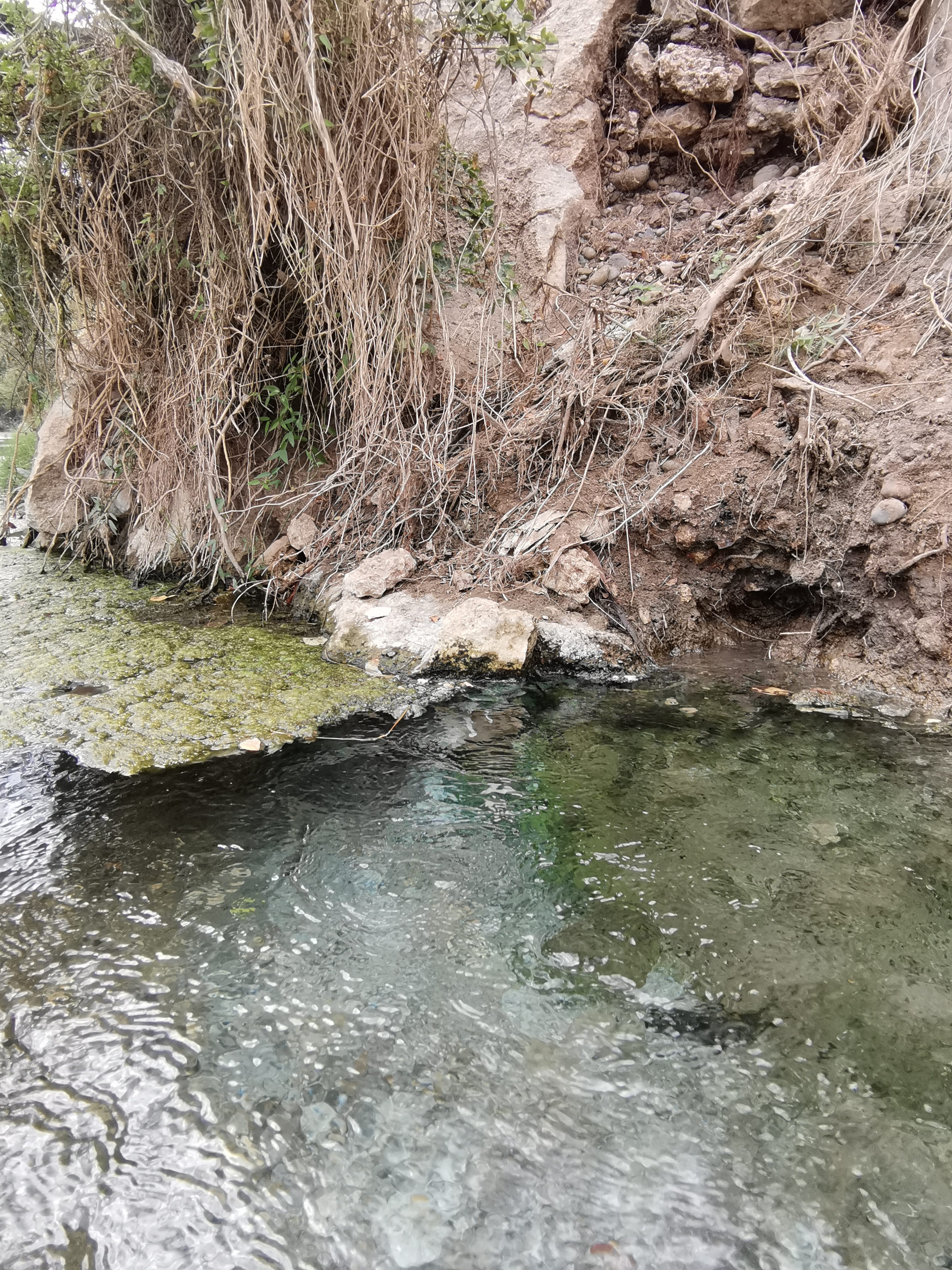 RESTAURANTE EL MANANTIAL image 6