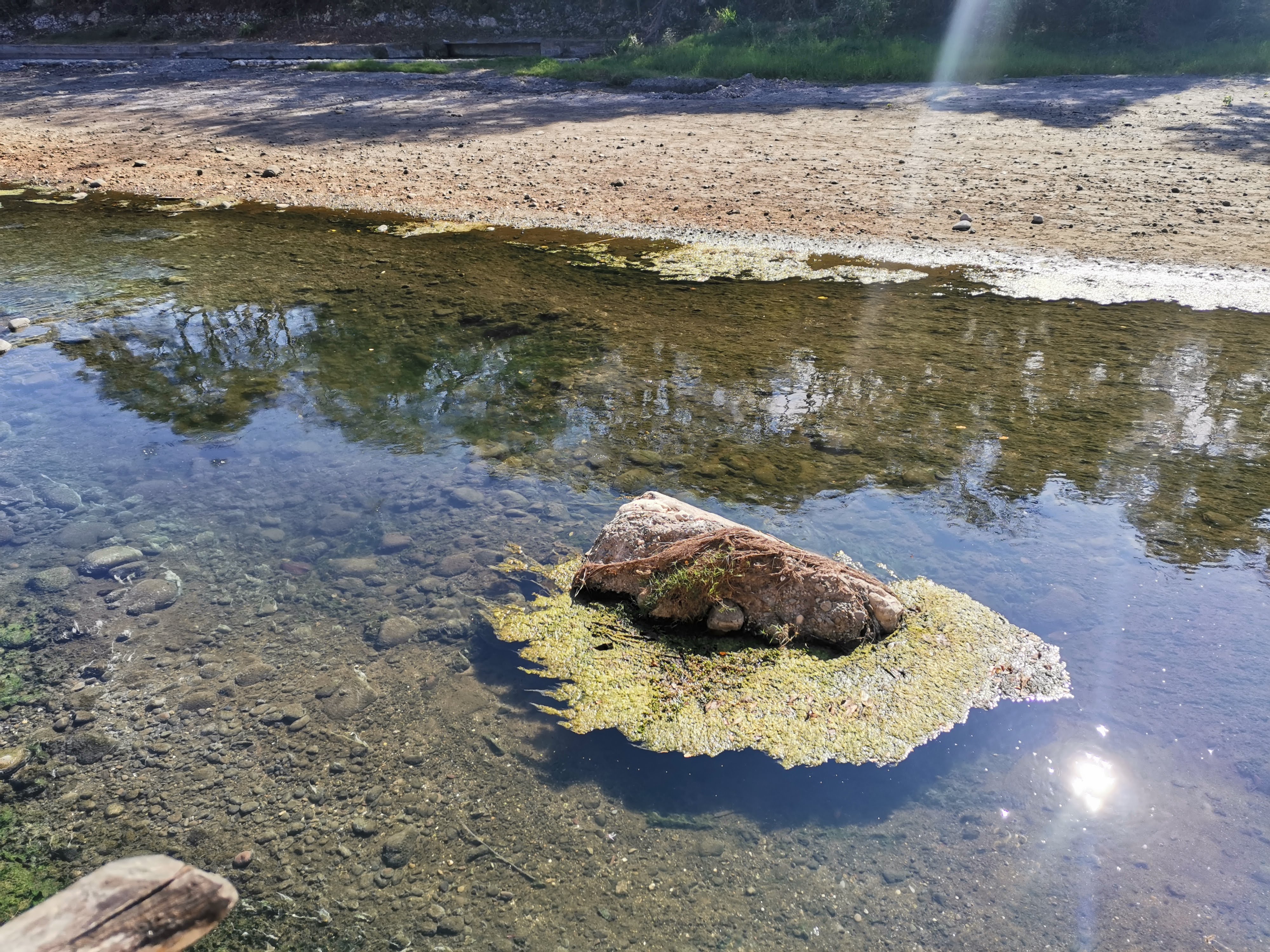 RESTAURANTE EL MANANTIAL image 9