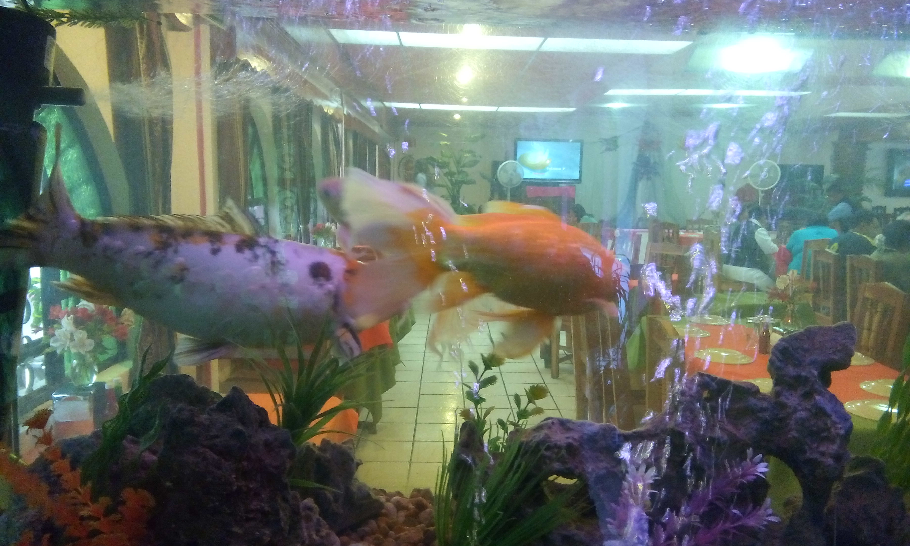 Restaurante El Cayuco image 9