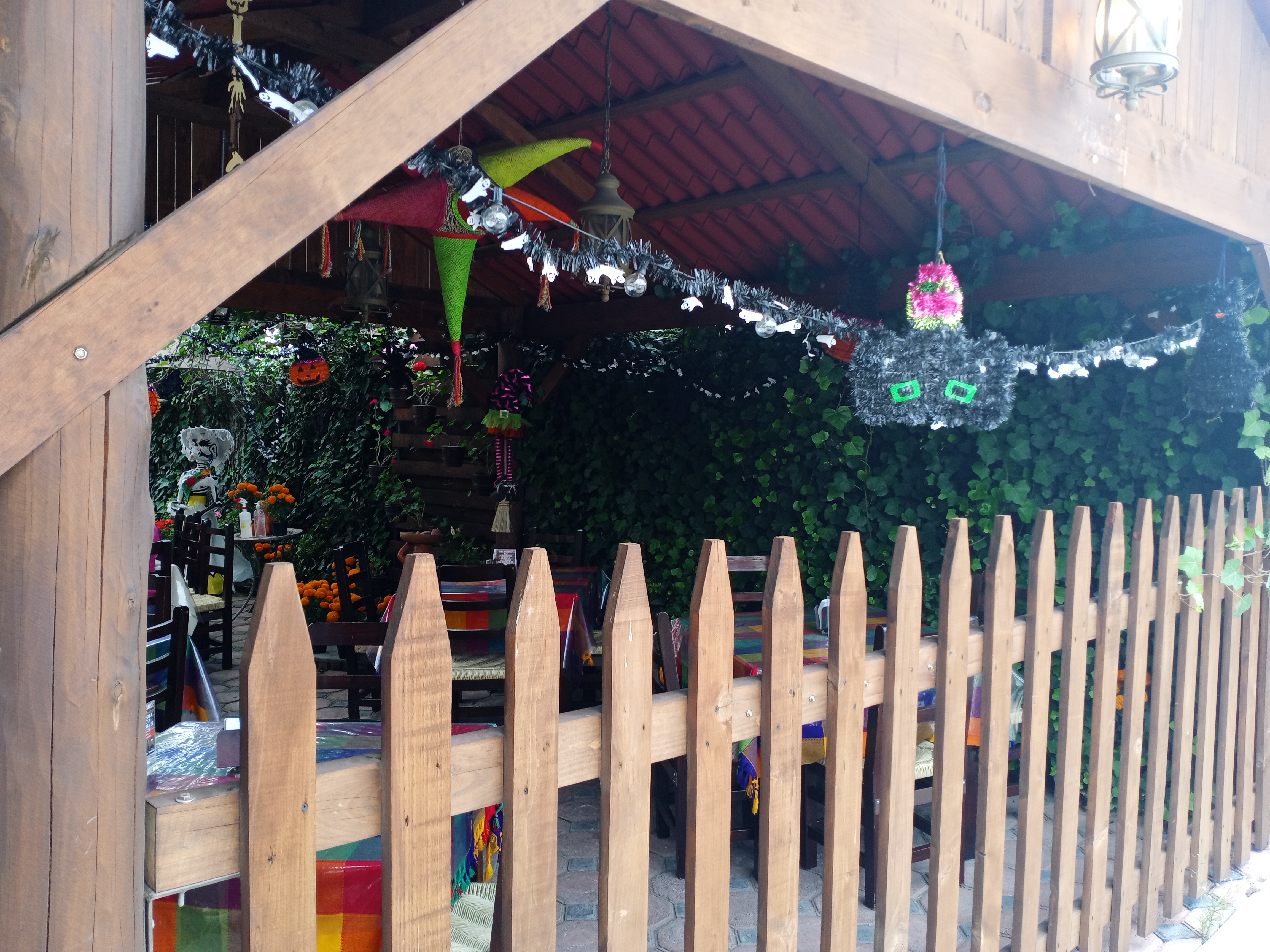 Cocina Mexicana image 1