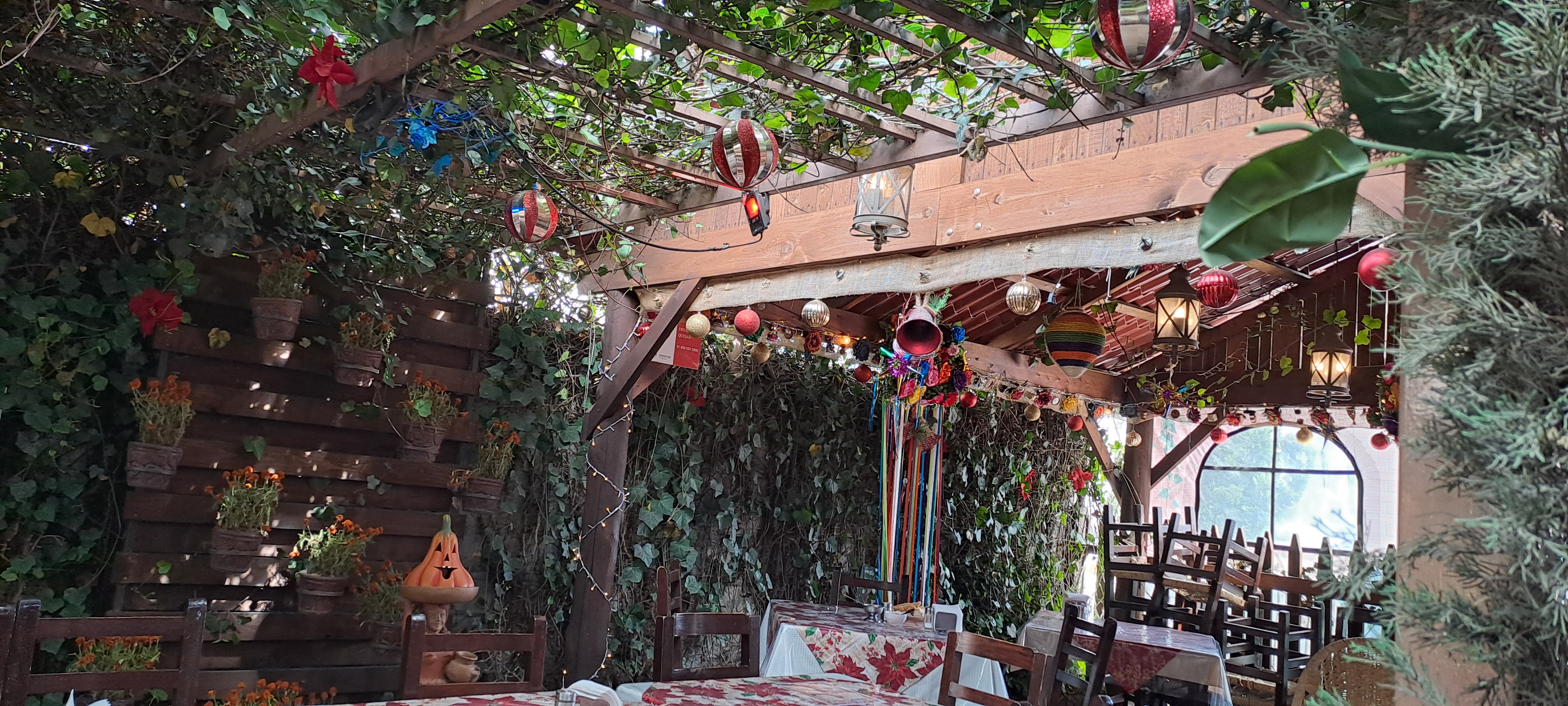 Cocina Mexicana image 2