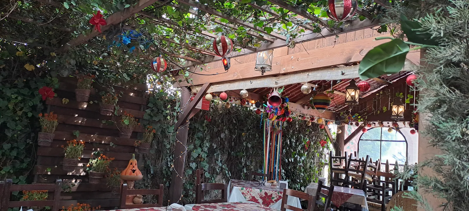 Cocina Mexicana image 2
