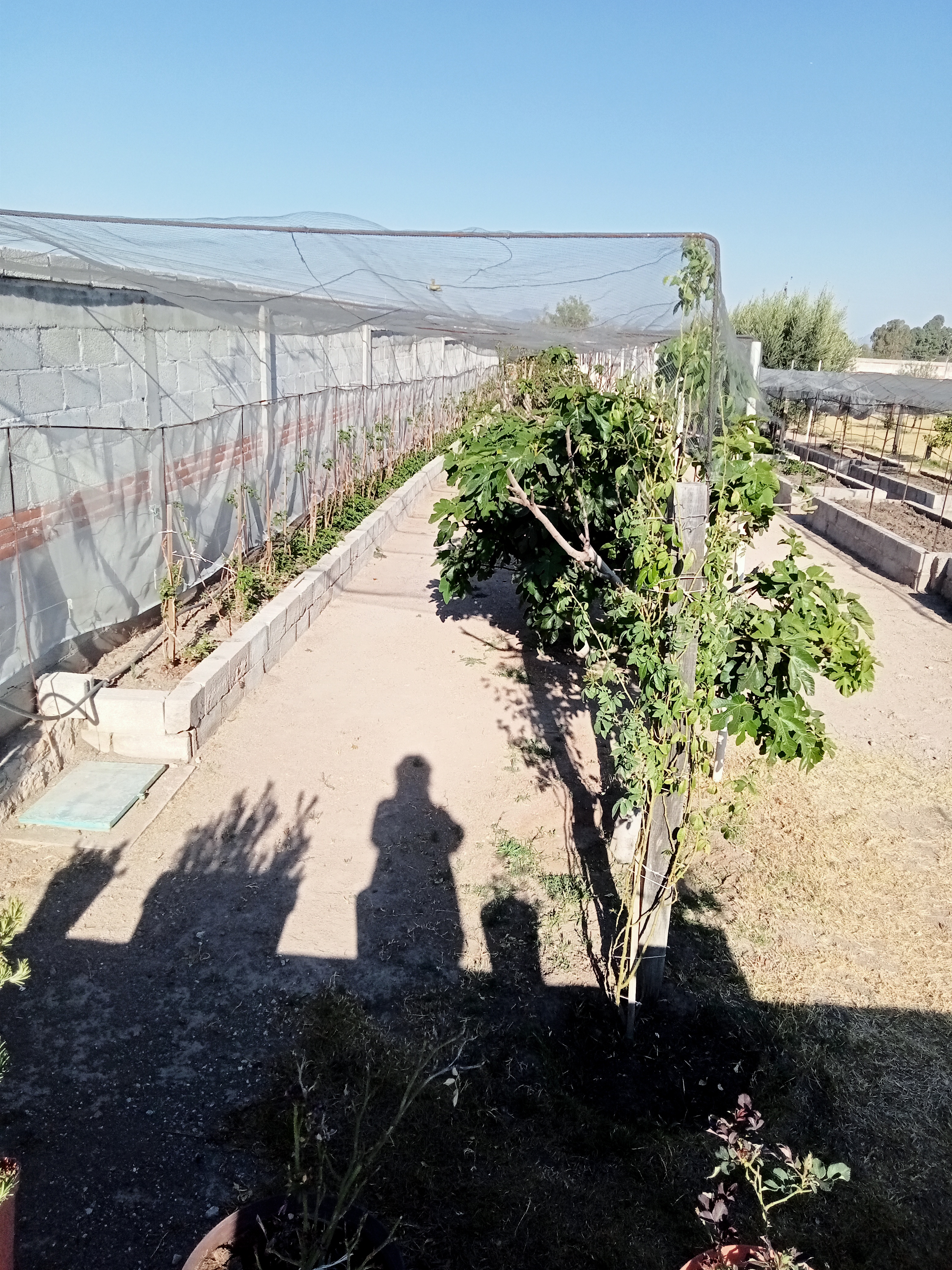 Casa Renaldi image 9