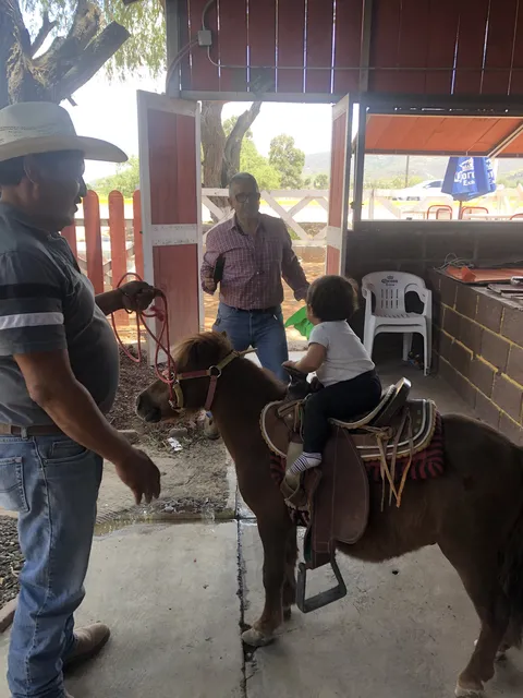 Ranchito Tx image 3