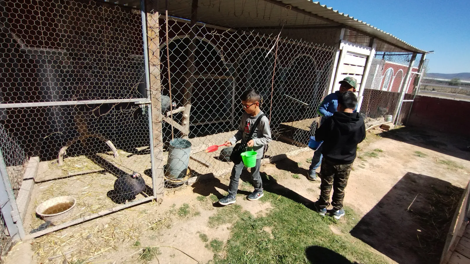 Ranchito Tx image 5