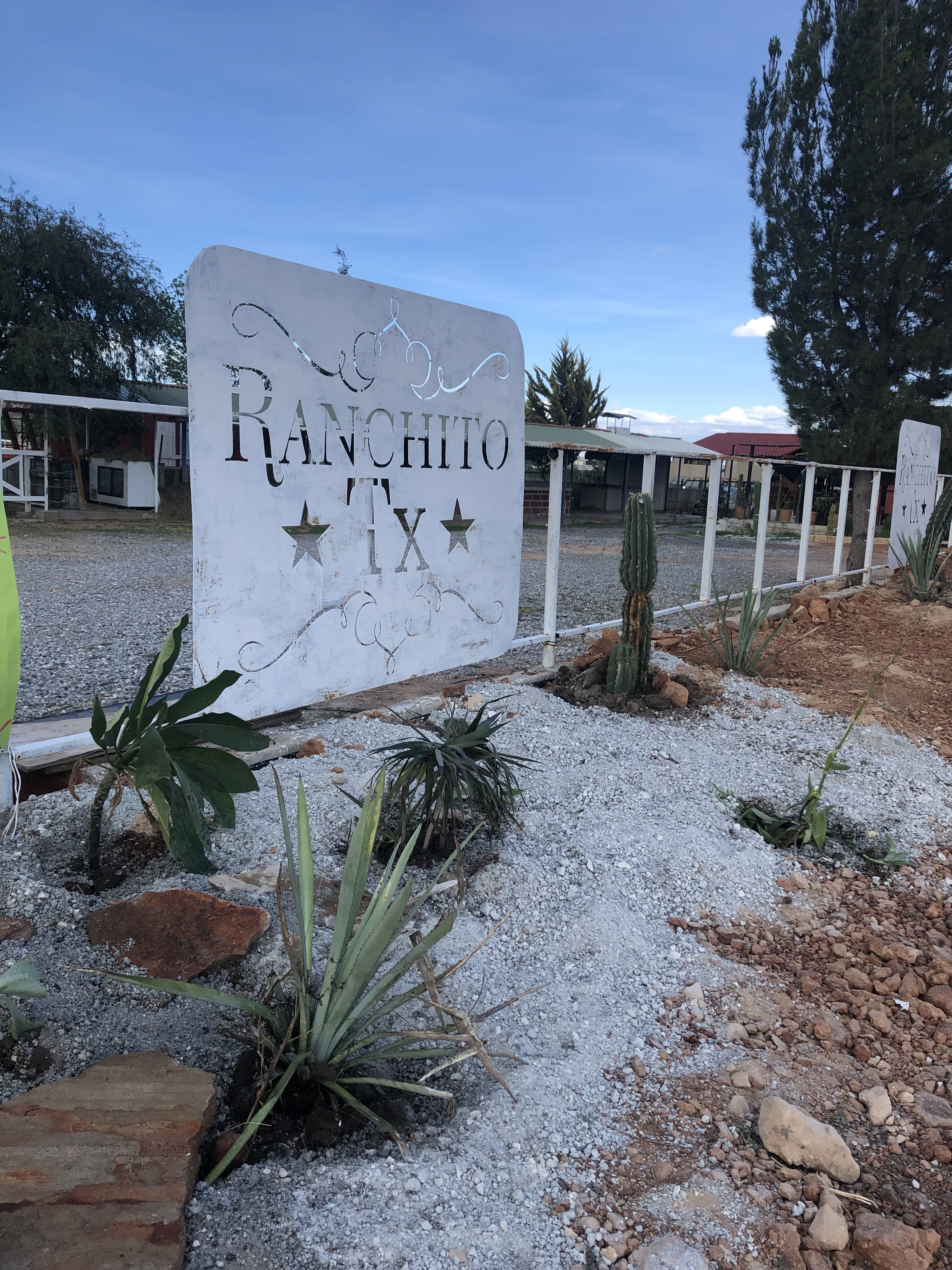 Ranchito Tx image 10