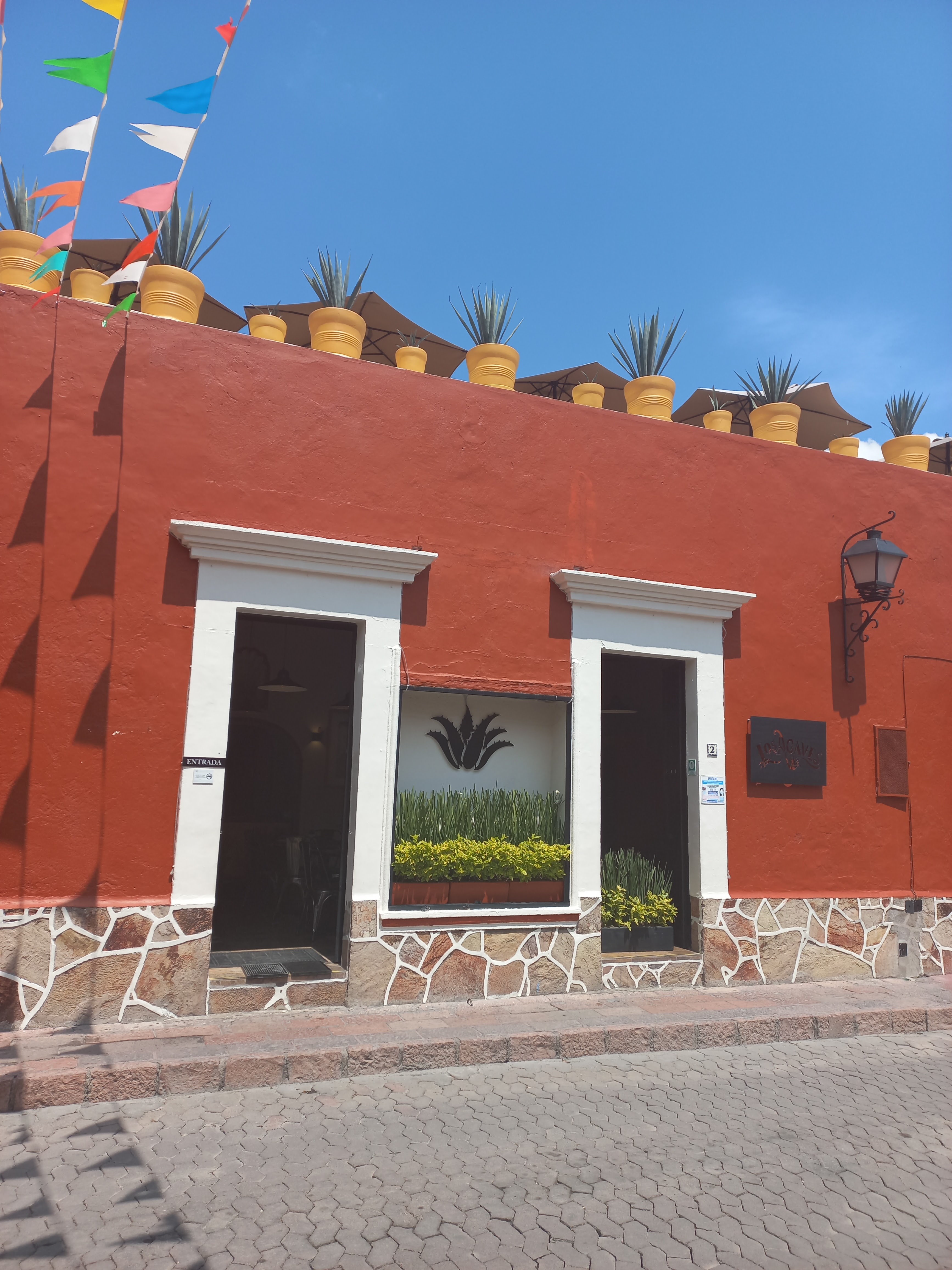 "Los Agaves" image 3