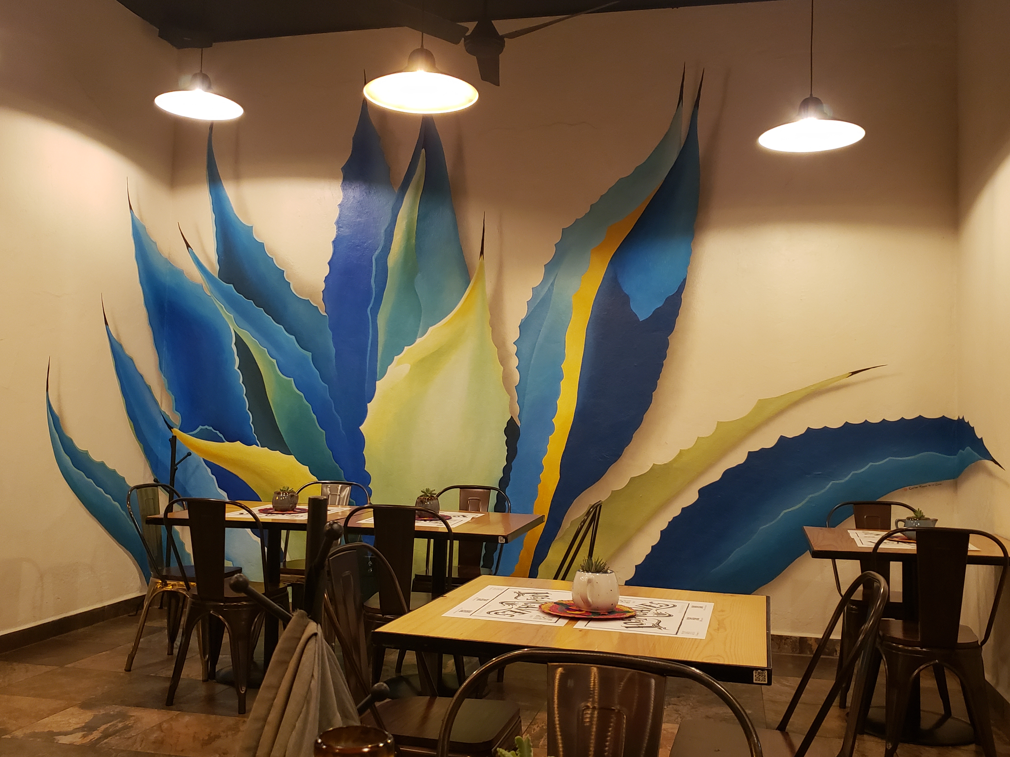 "Los Agaves" image 4