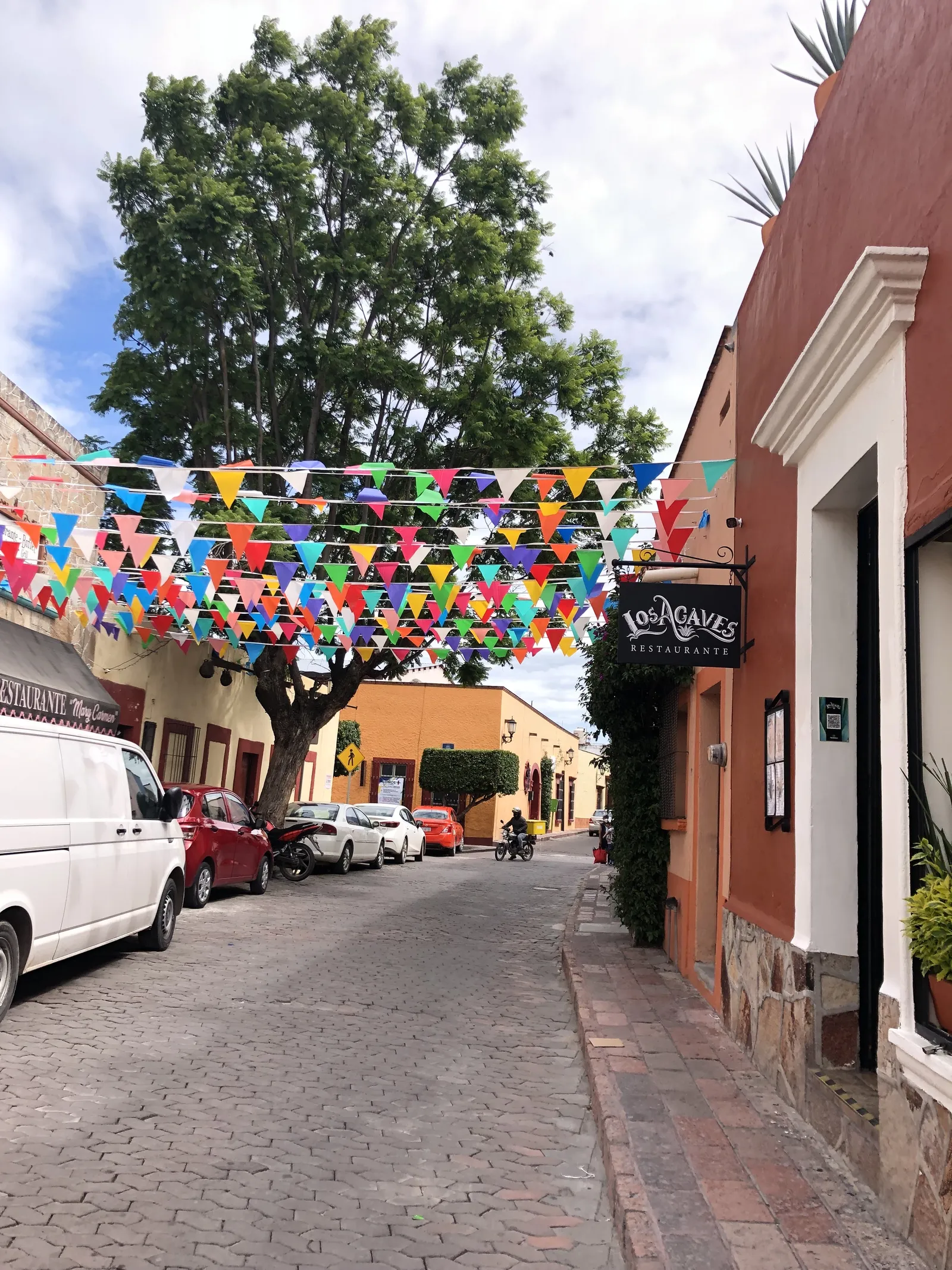 "Los Agaves" image 5