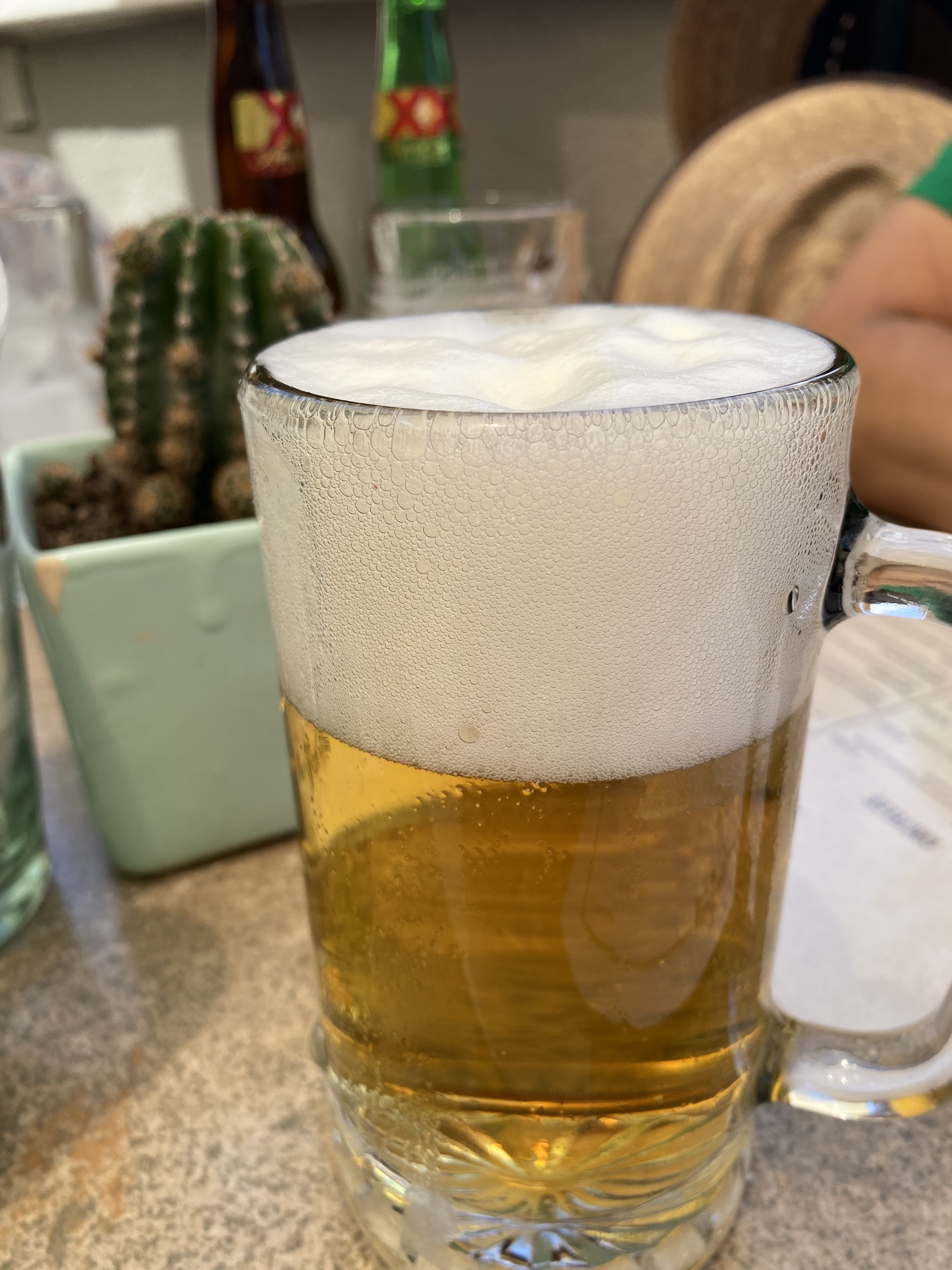 "Los Agaves" image 10