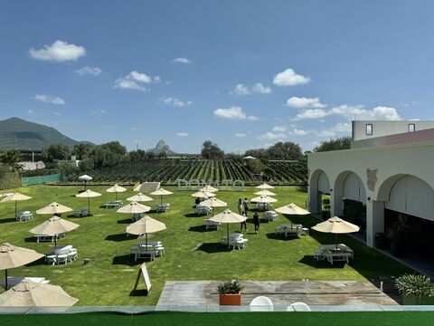 Restaurante Donato image 3