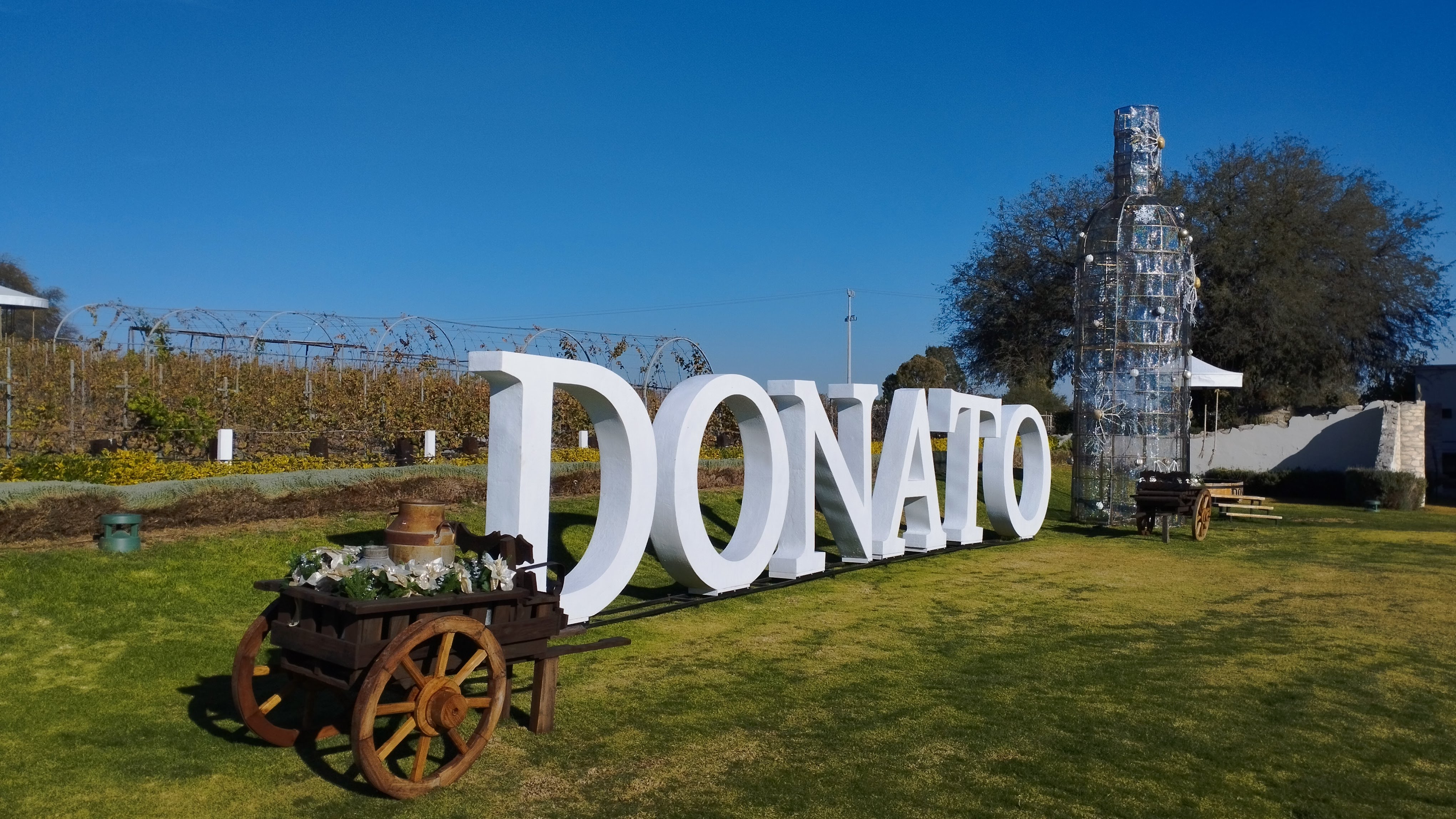 Restaurante Donato image 8