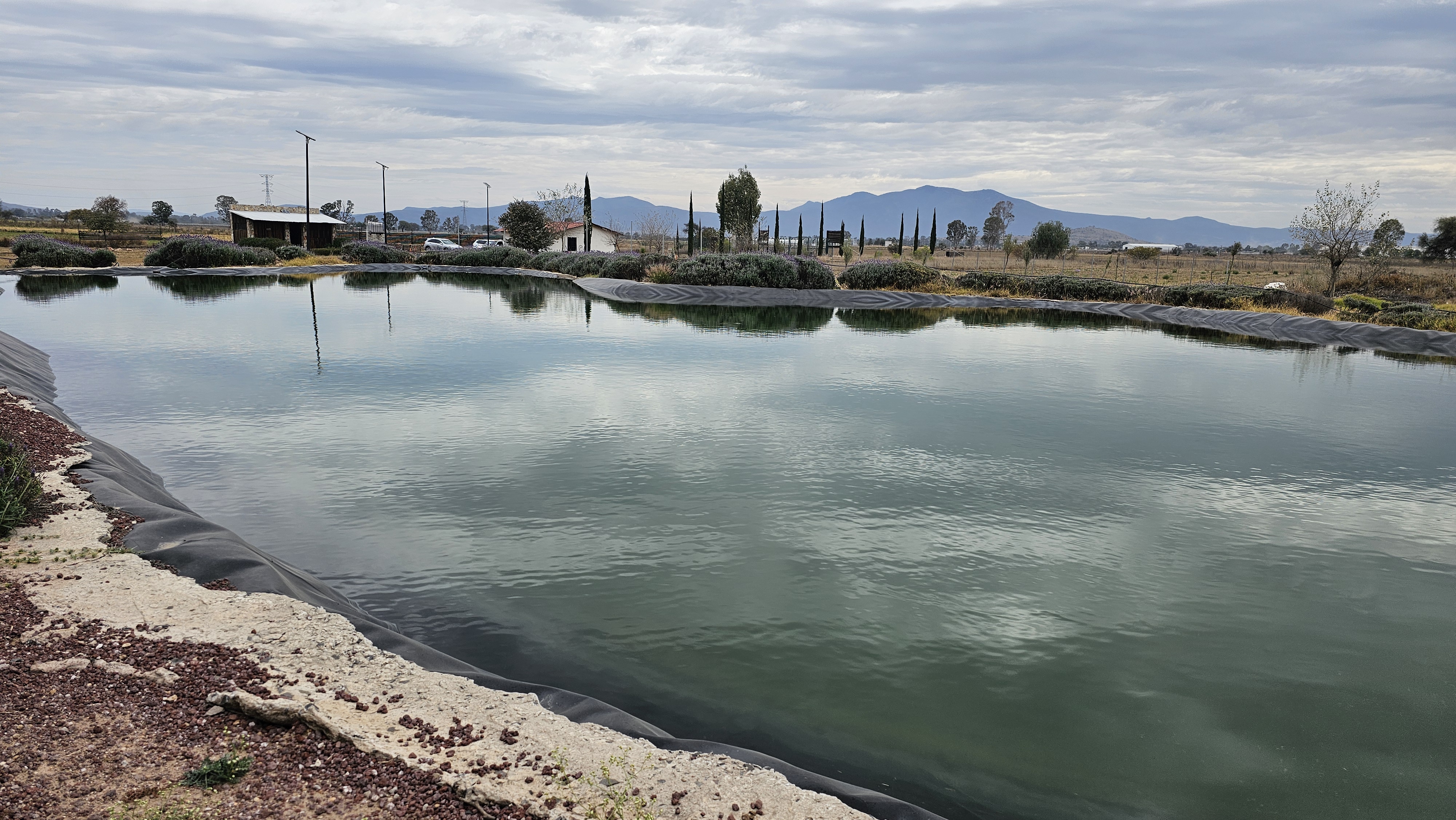 Viñedo La Revuelta - Restaurante Gran Reserva image 4