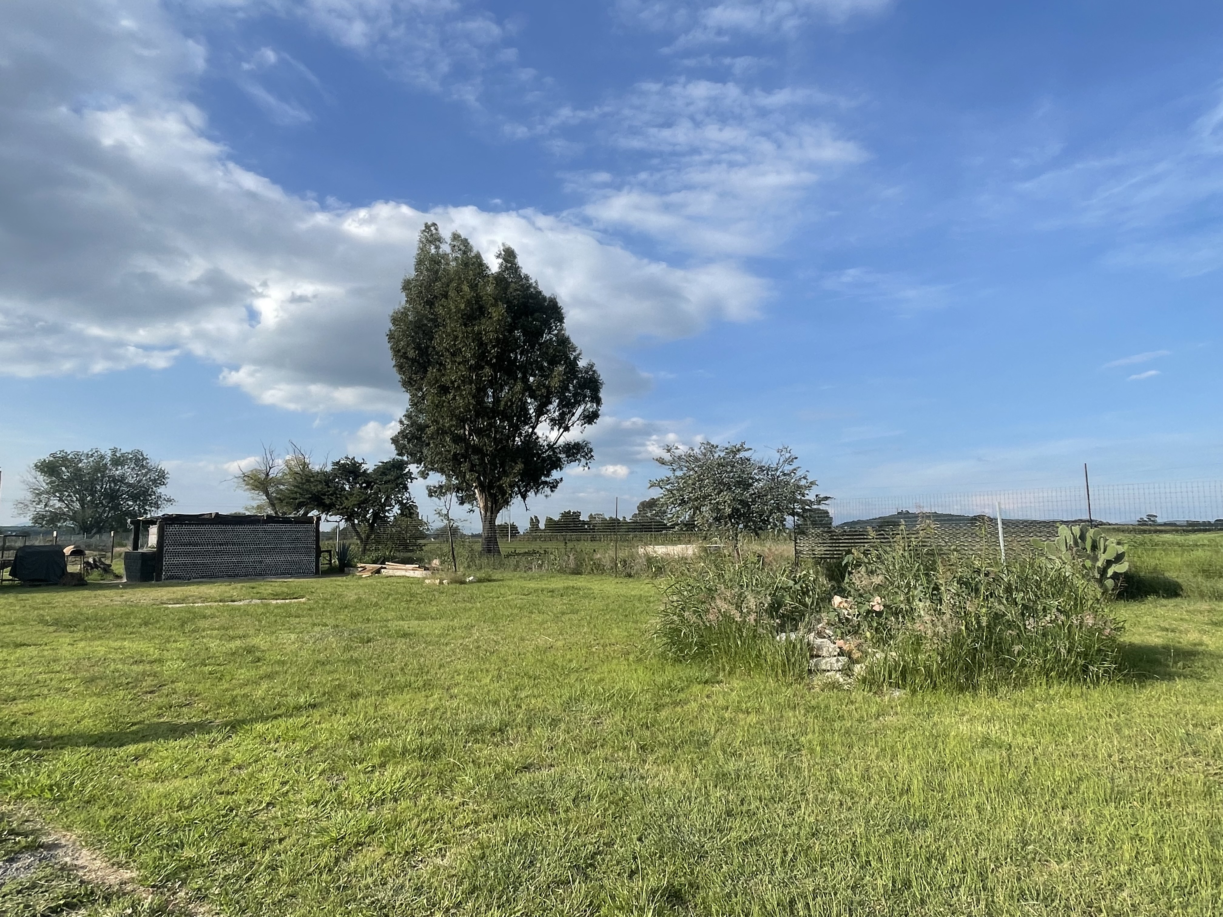 Viñedo La Revuelta - Restaurante Gran Reserva image 7