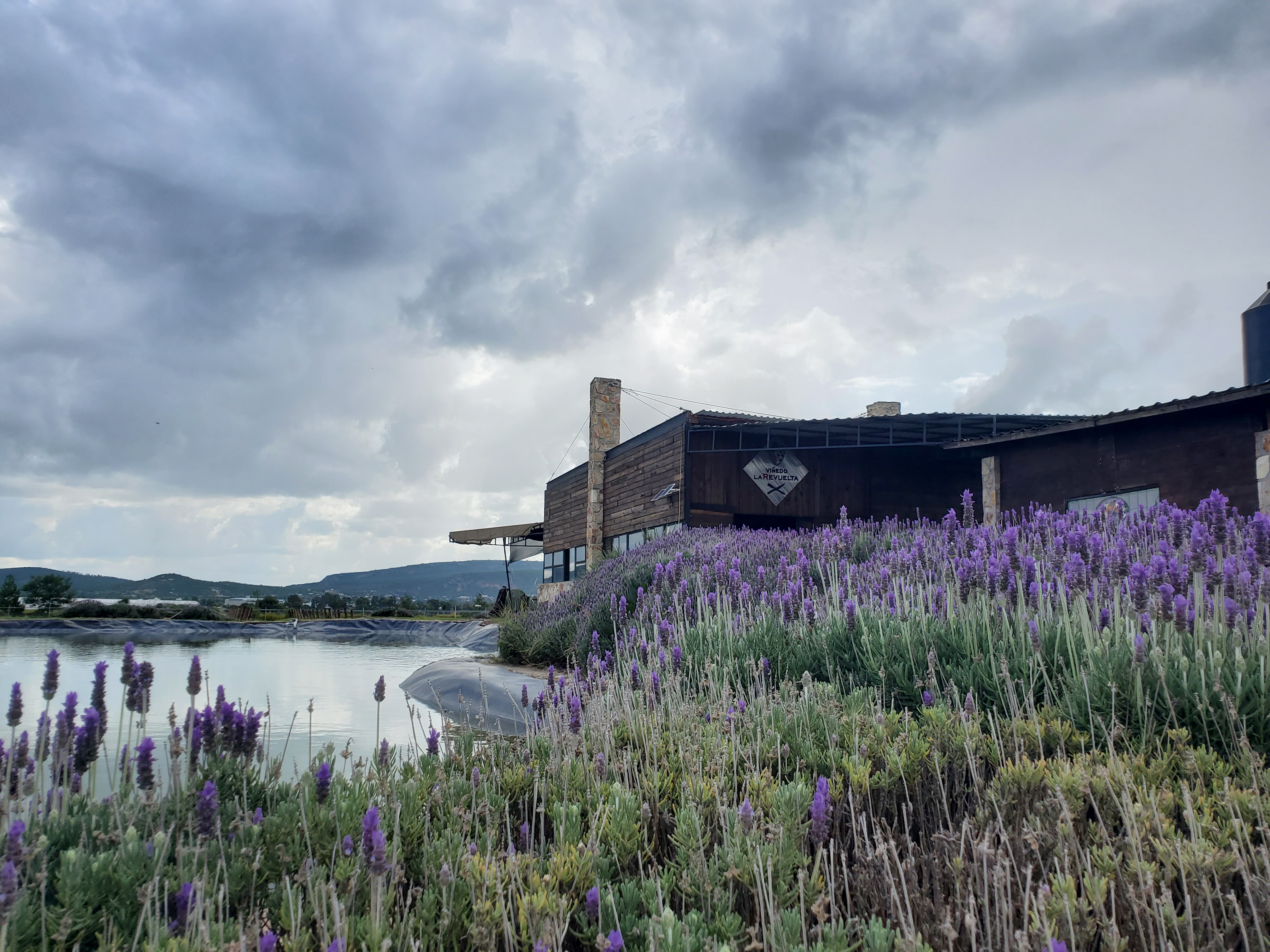 Viñedo La Revuelta - Restaurante Gran Reserva image 9