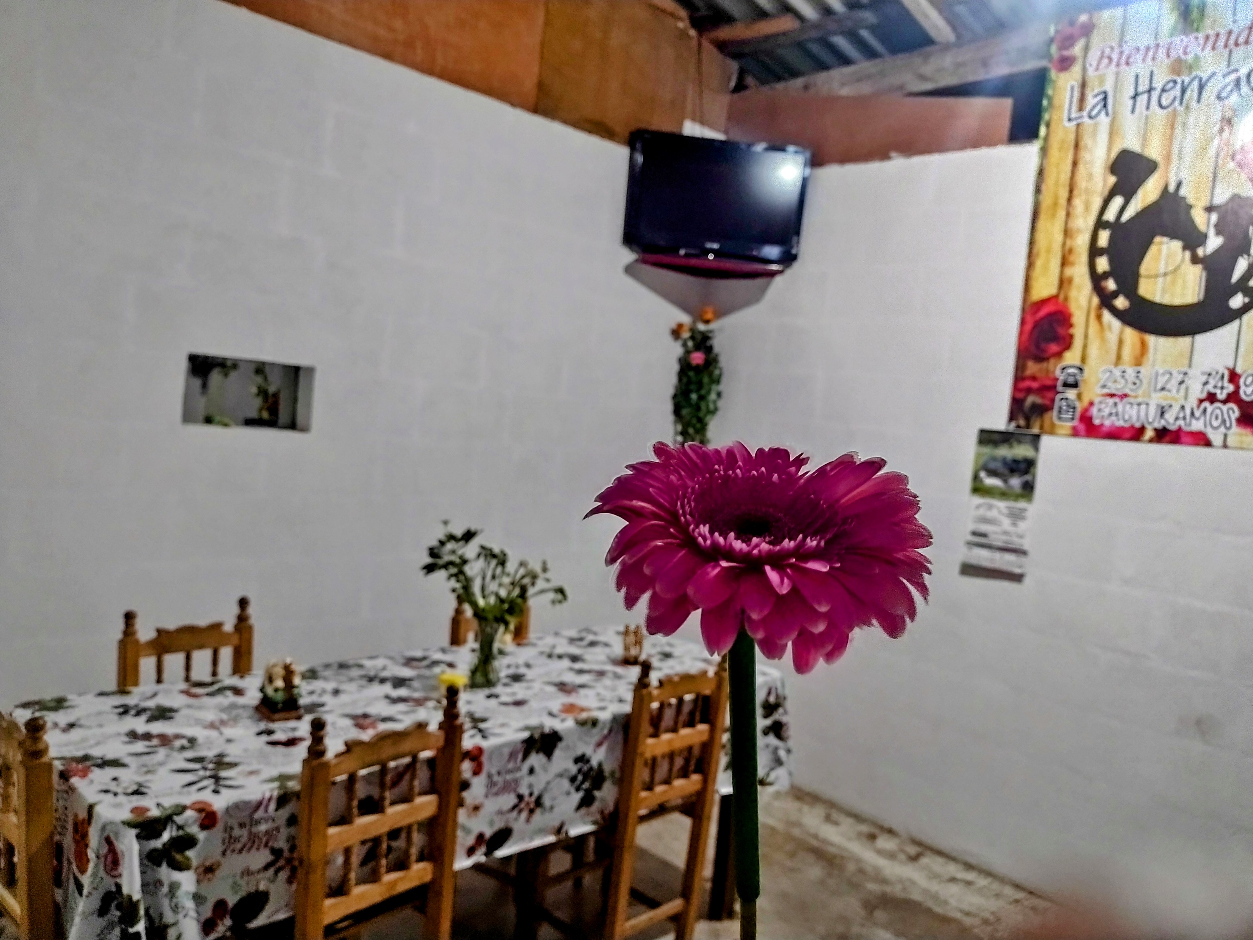 Cocina Económica "La Herradura 1" image 8