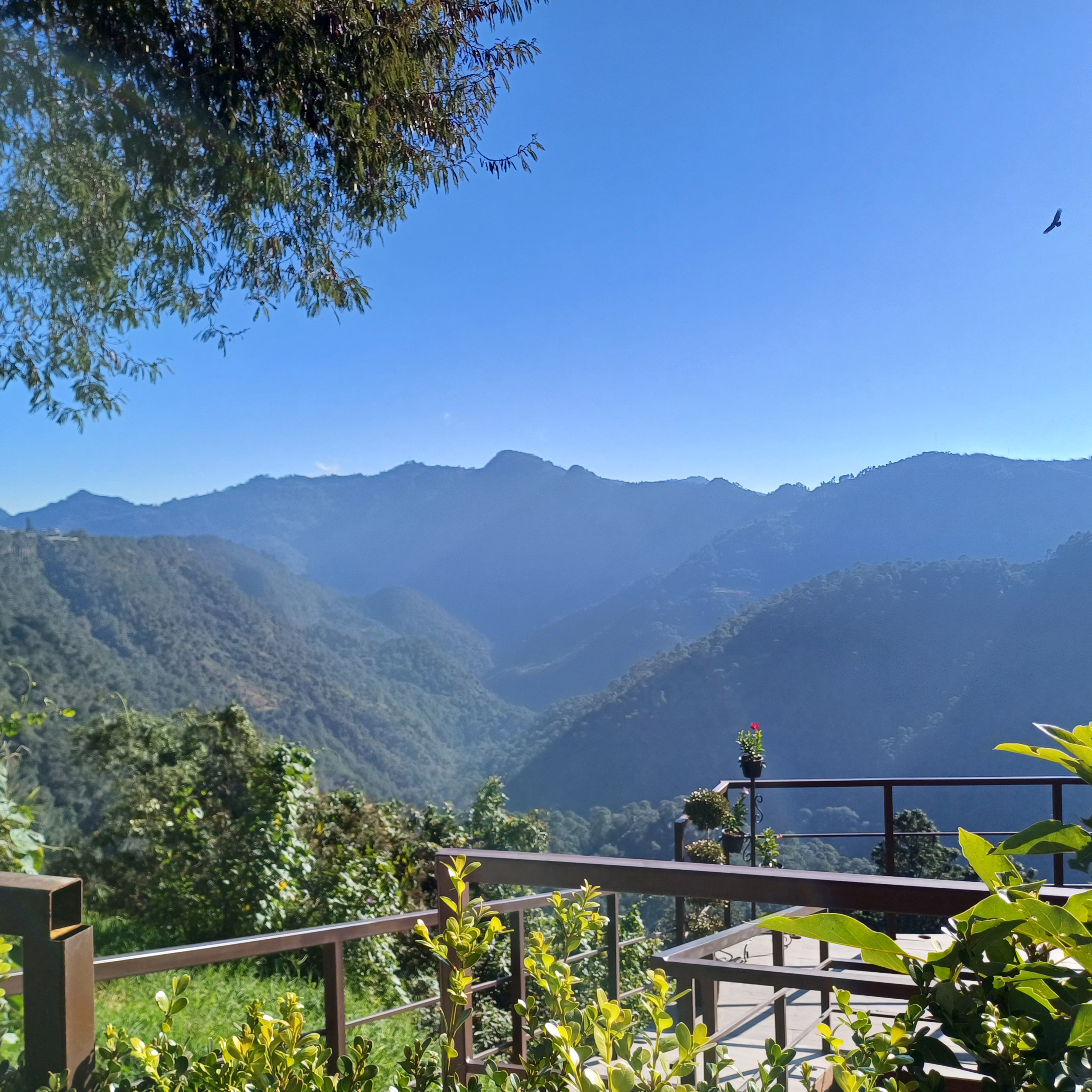 Restaurante El Mirador image 3