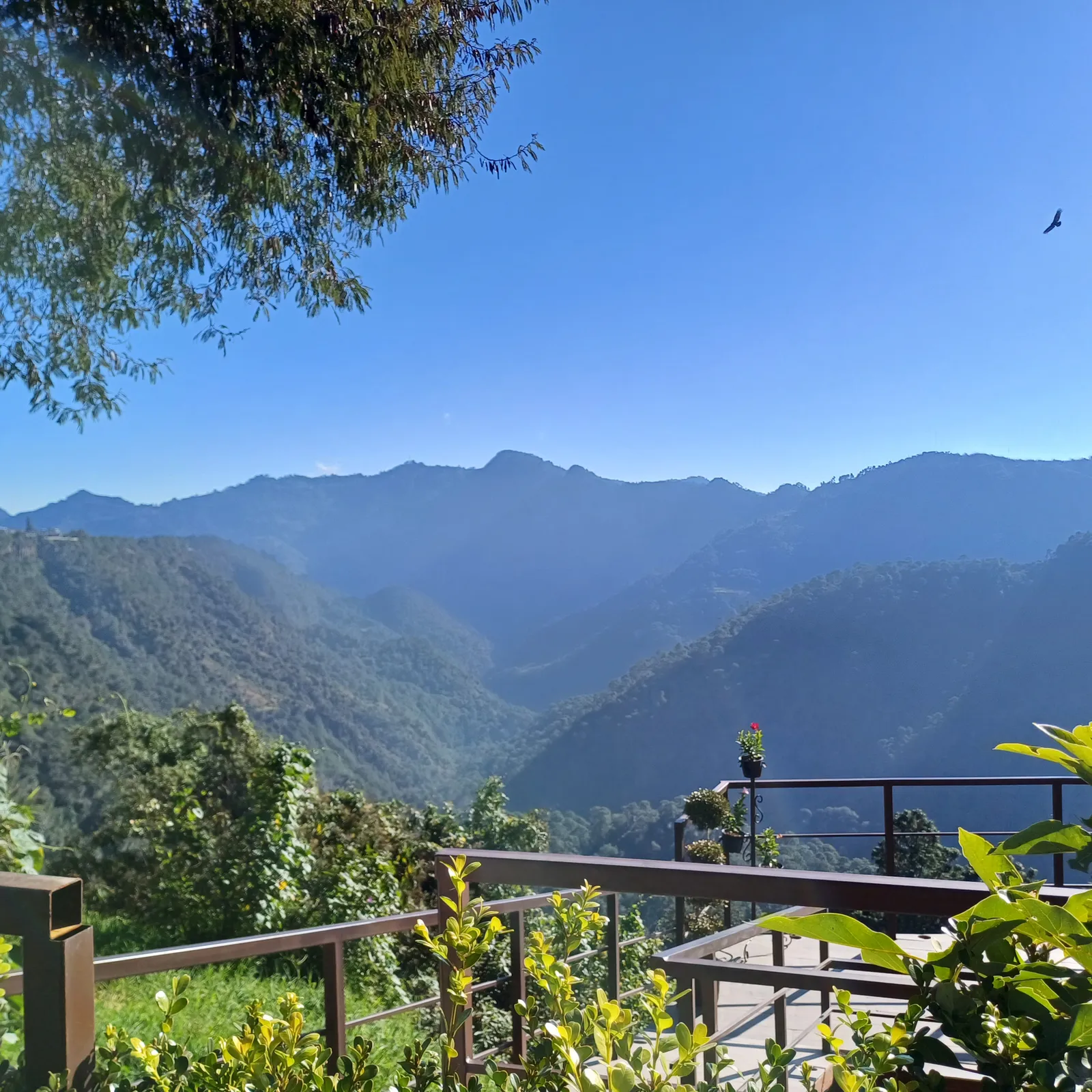 Restaurante El Mirador image 3