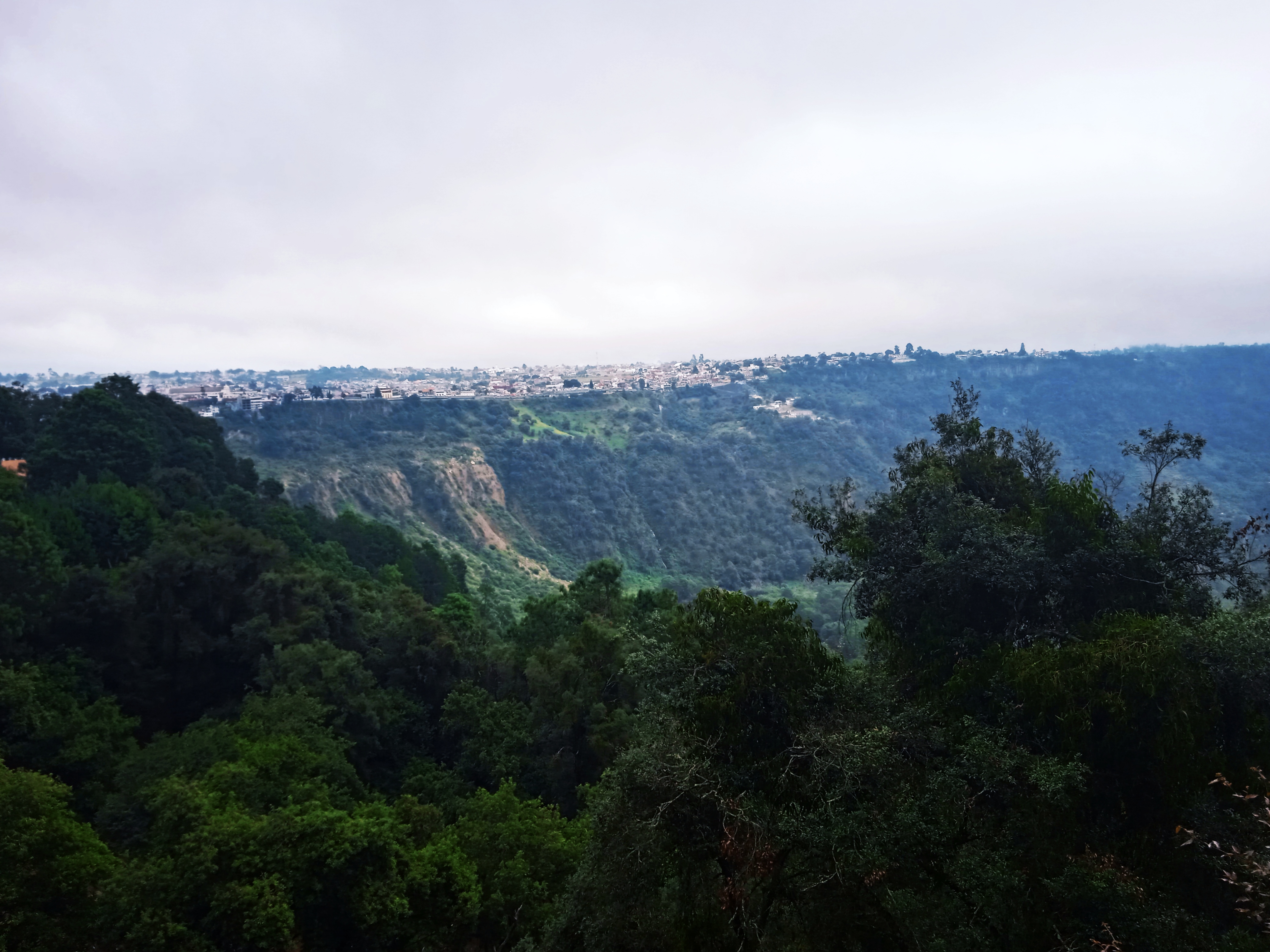 Barranquilla Restaurante image 9