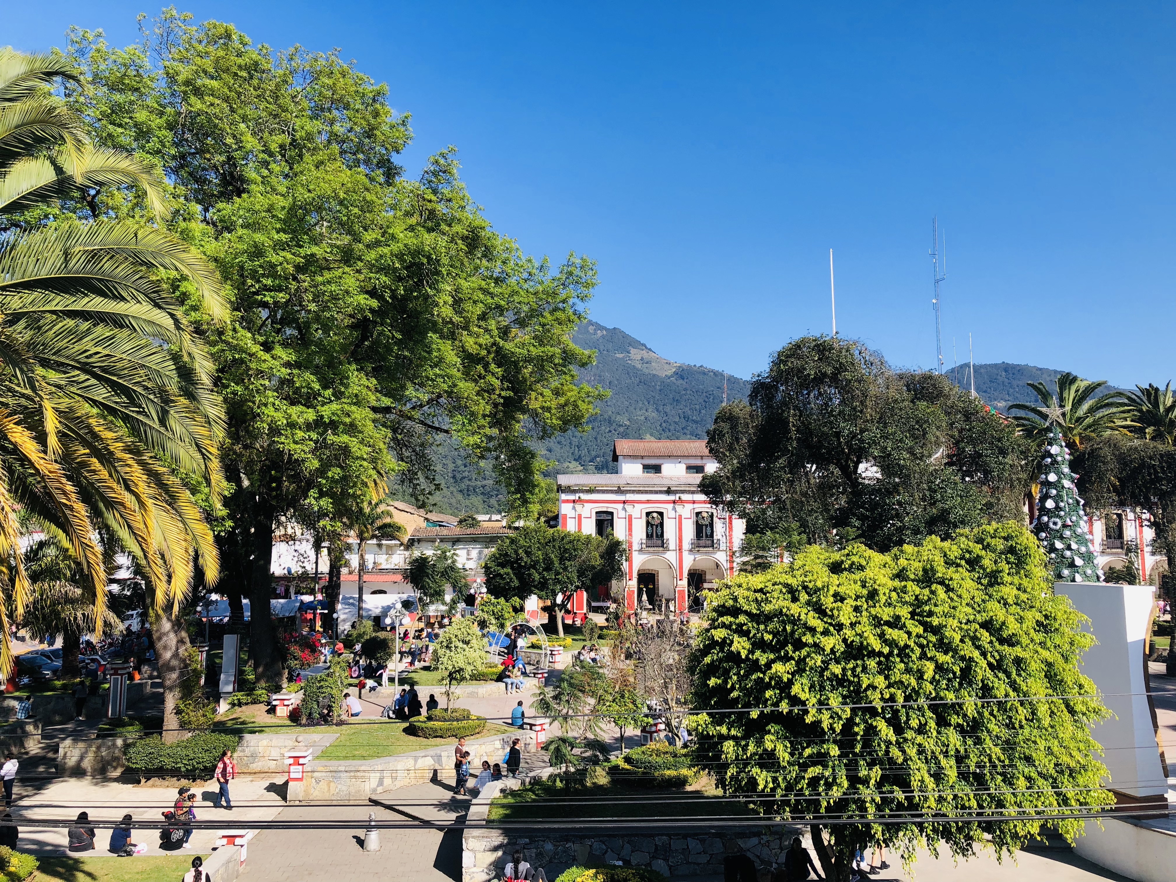 Restaurante La Casa De Los Abuelos image 6