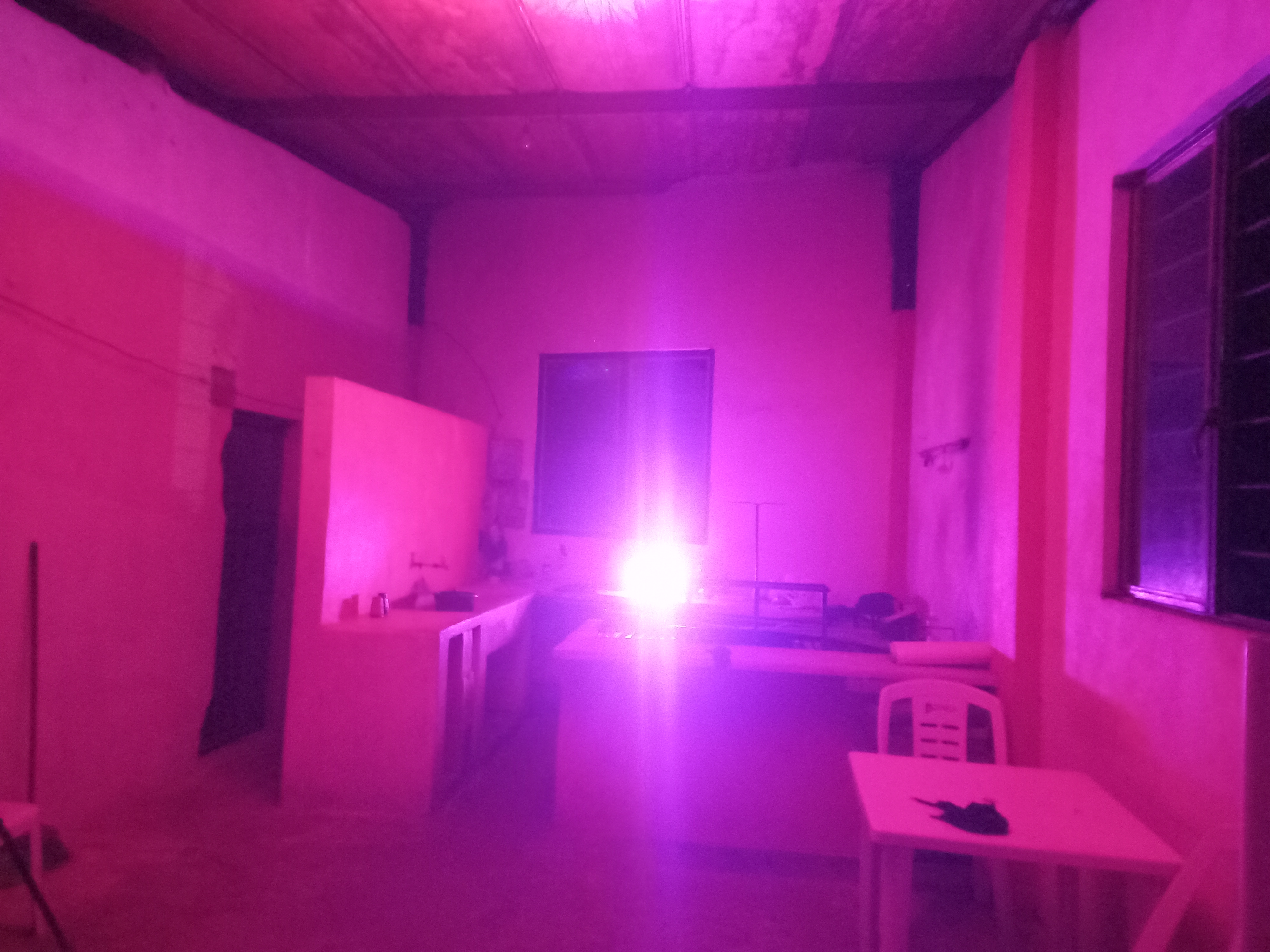 Carniceria y Taquería La Principal image 4