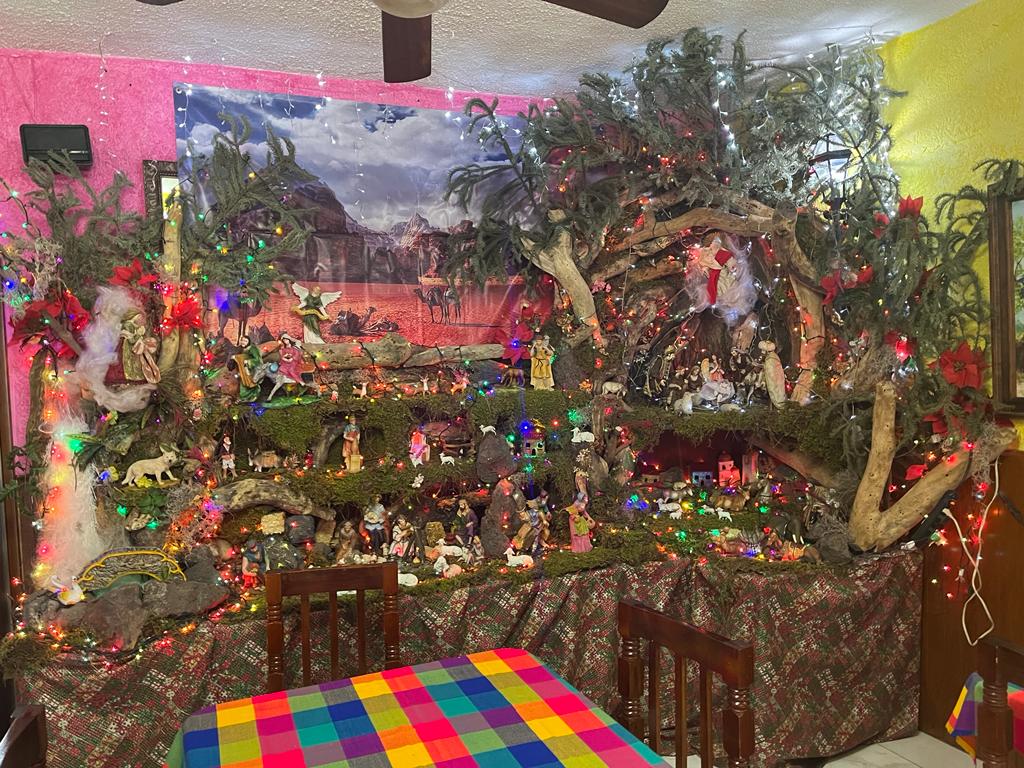 Dos Arbolitos image 8