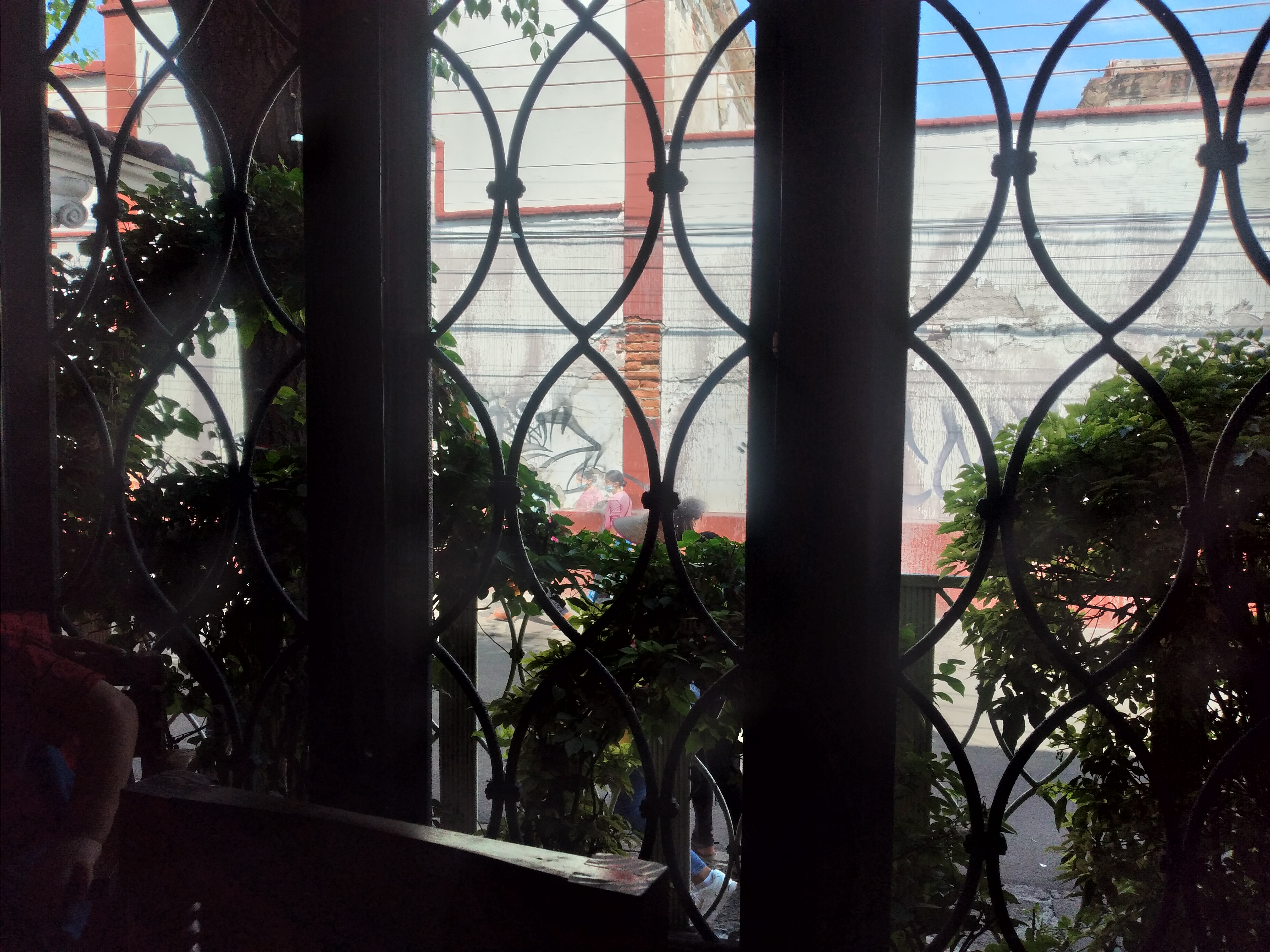 Dos Arbolitos image 9