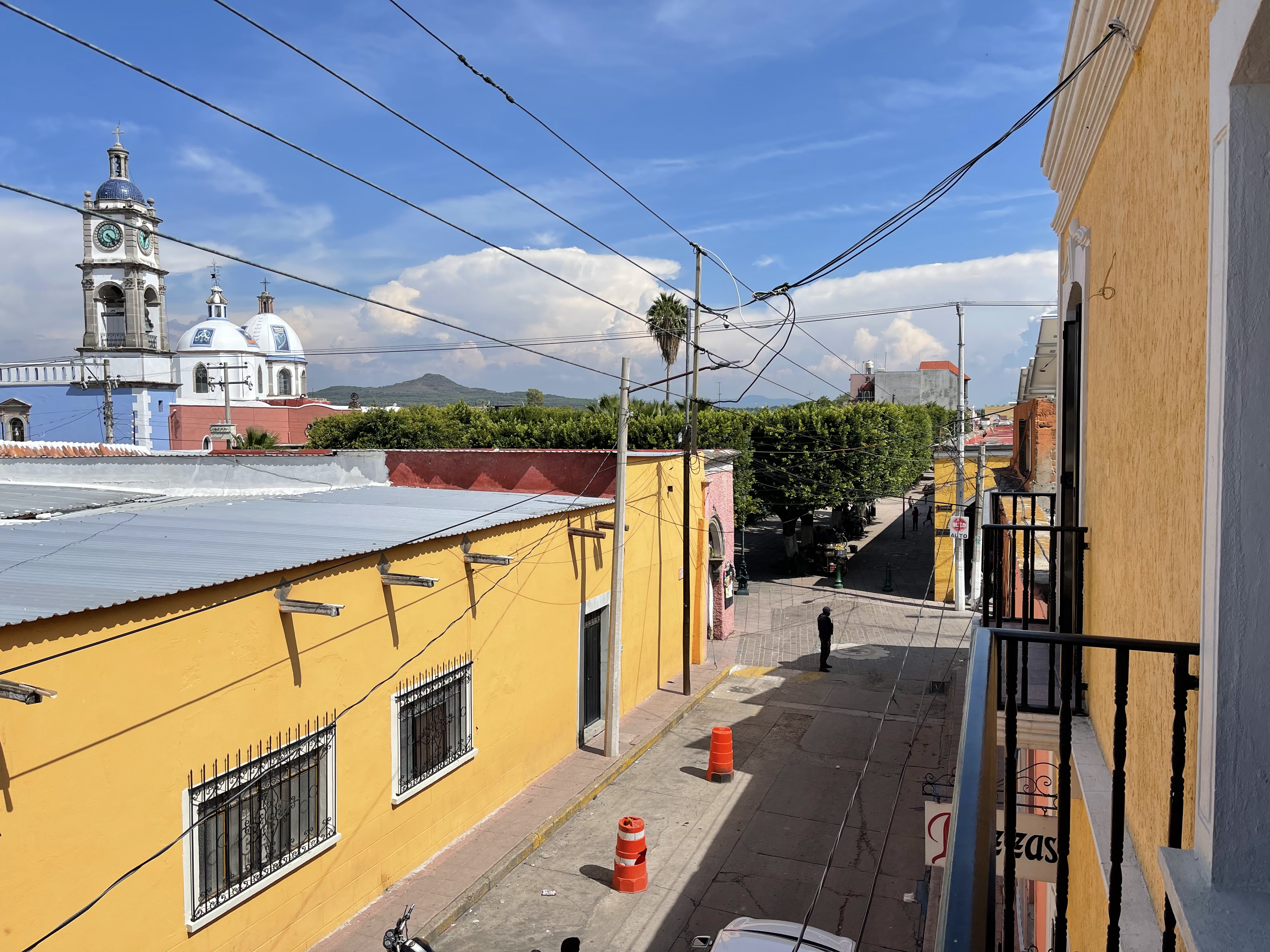 Pizza's Horse image 4