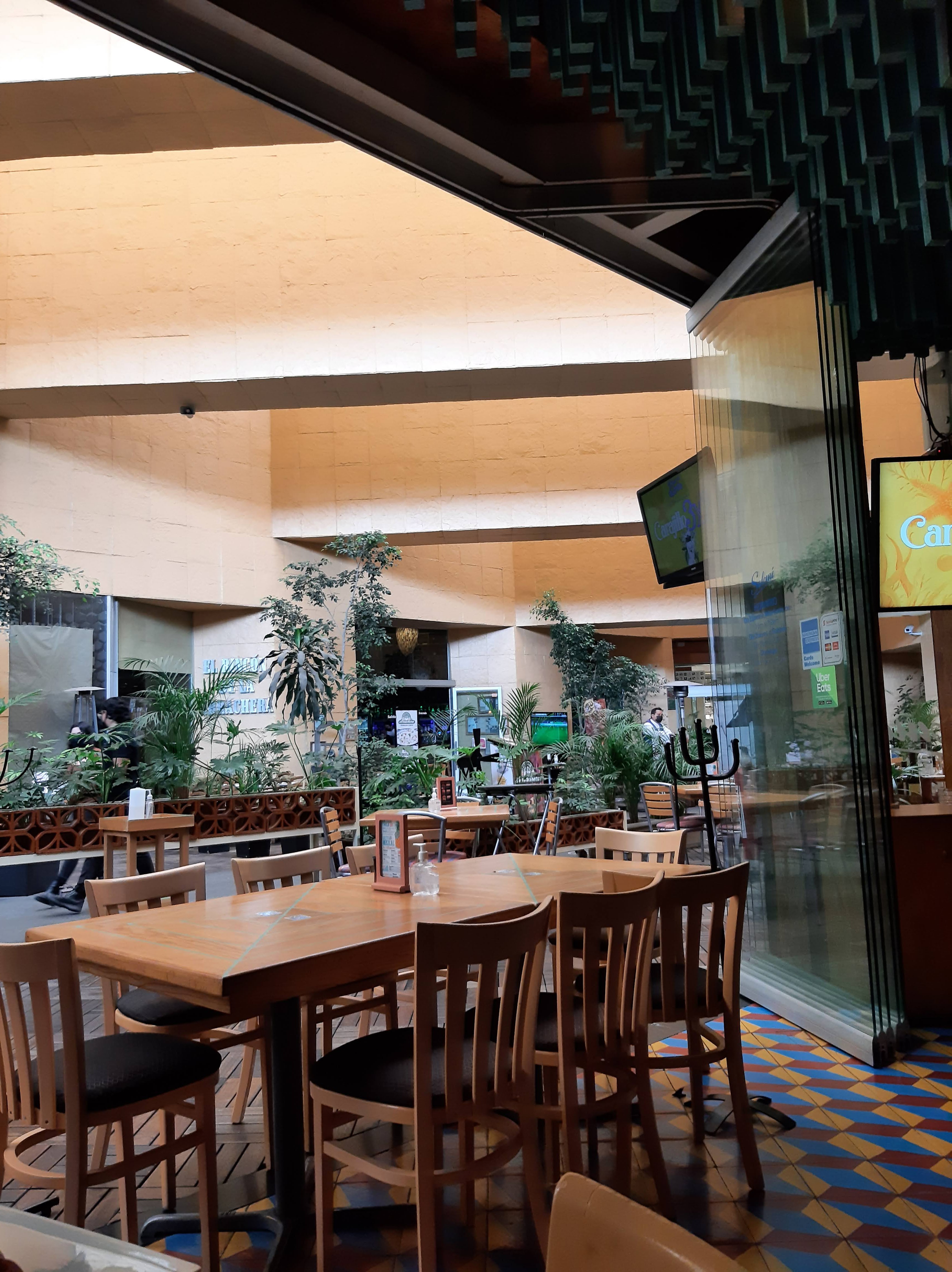 Salomé ValQuirico image 3