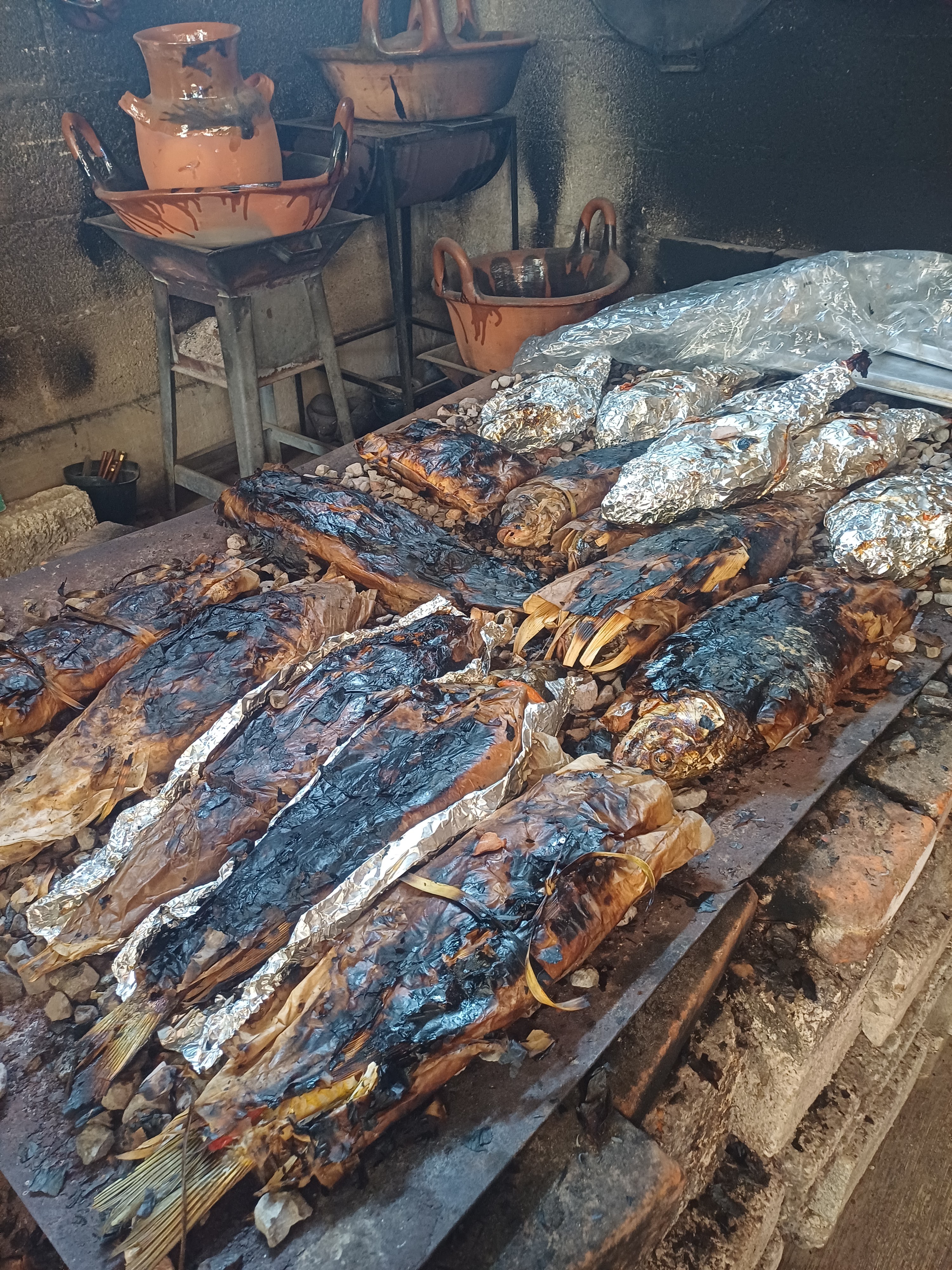 Casa Restaurante carpas lluvia image 3