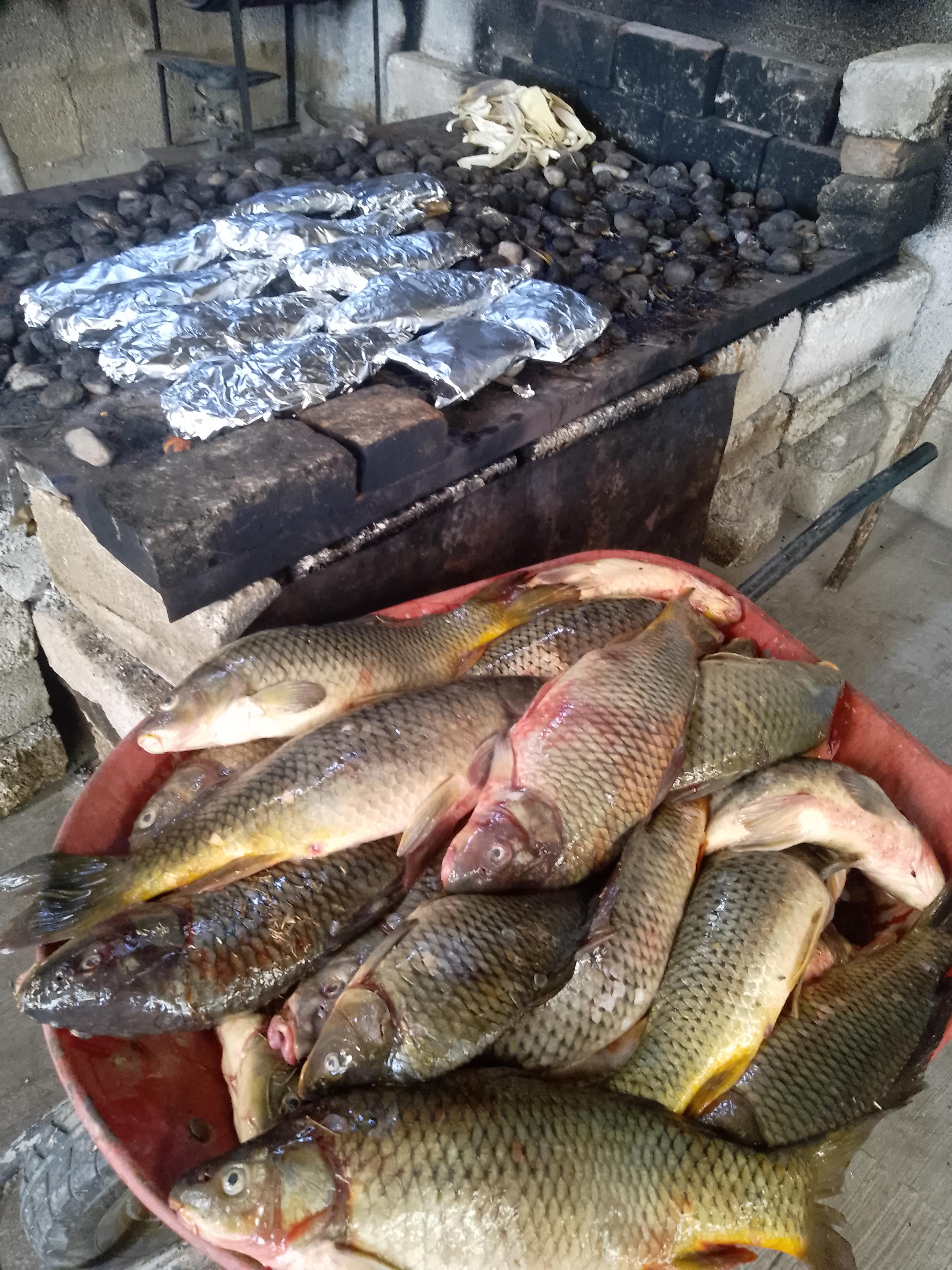 Casa Restaurante carpas lluvia image 6