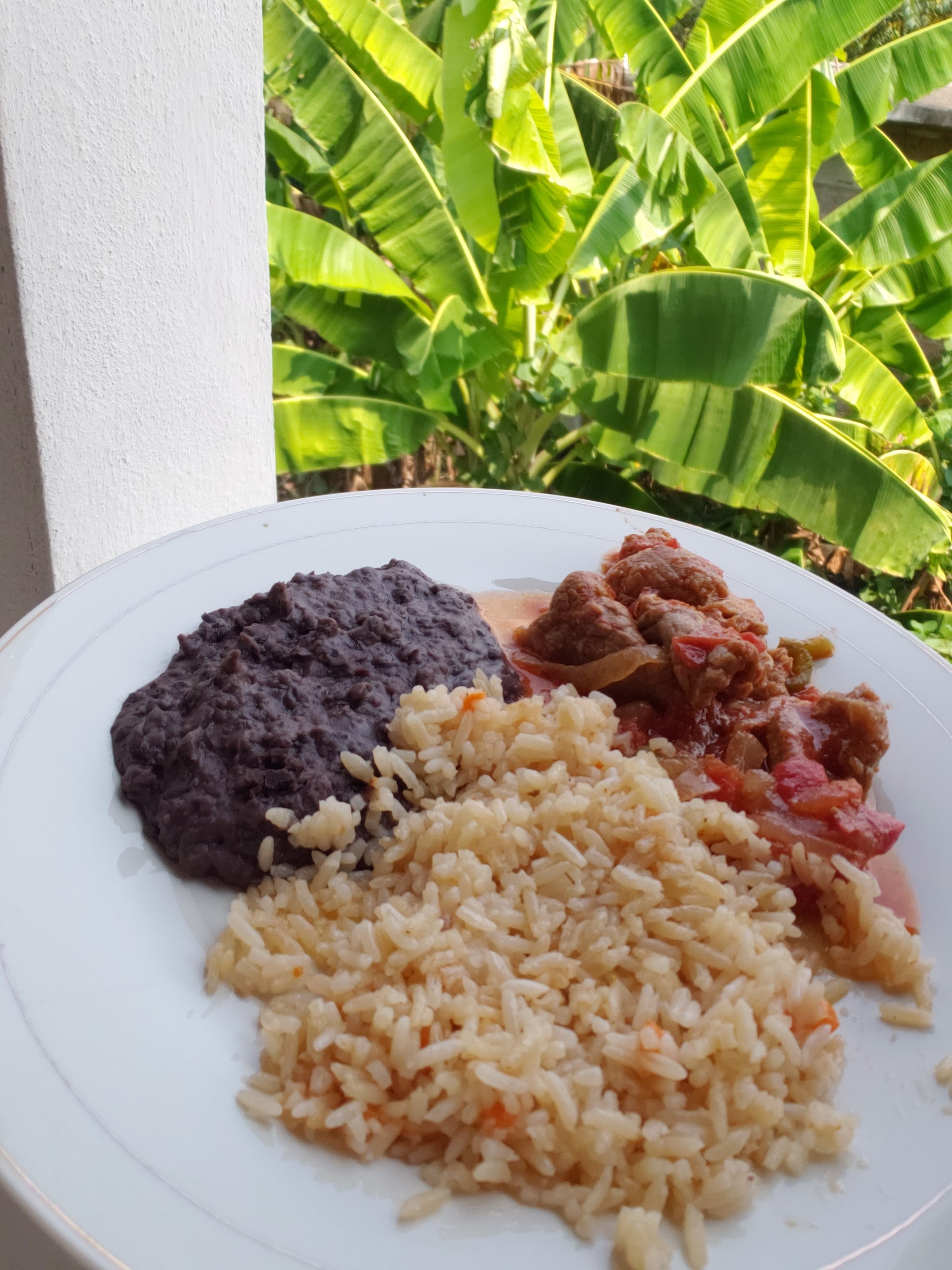 EL SAZON TEXANO image 8