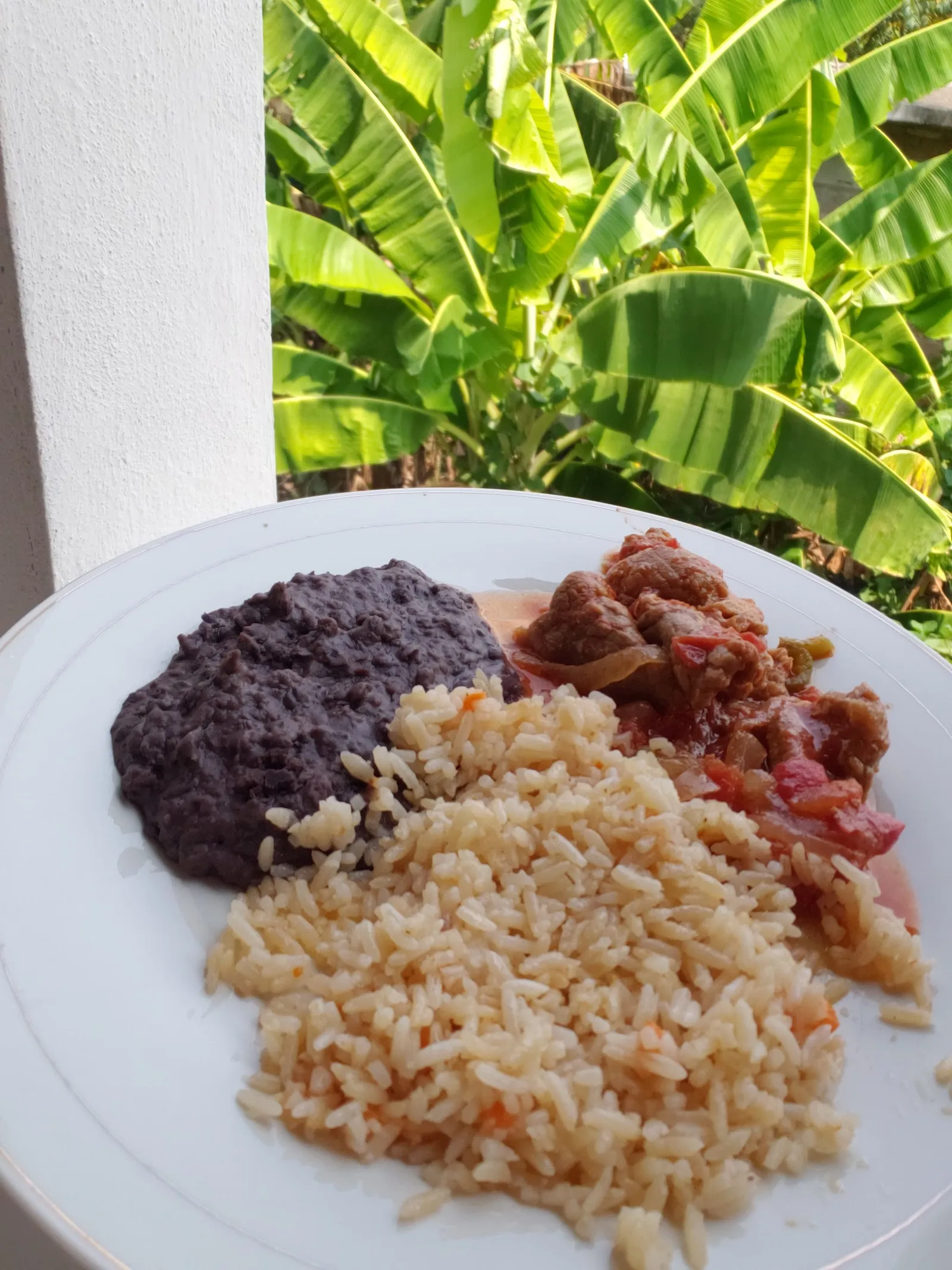 EL SAZON TEXANO image 8