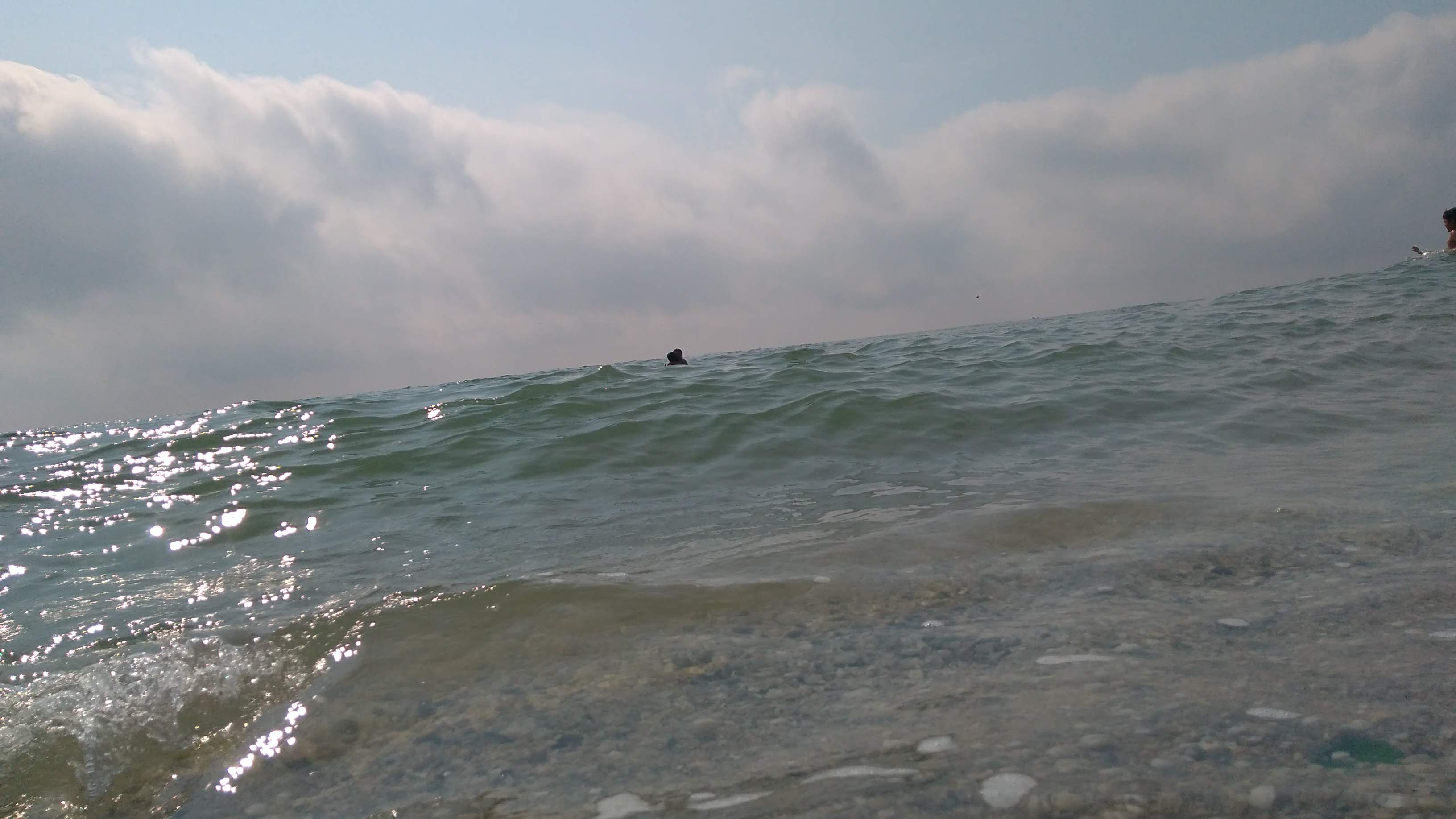 restaurant doña eco image 5