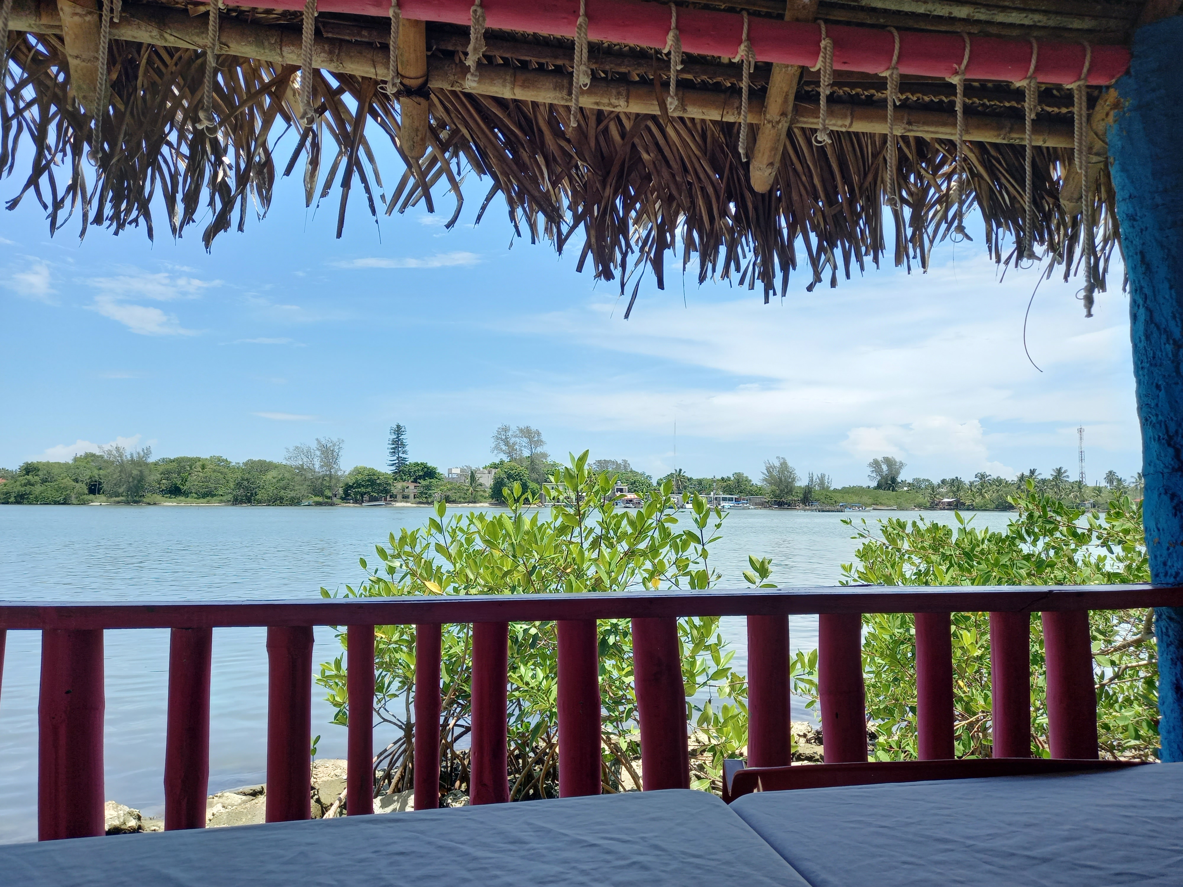 El Mangle - Mariscos image 4