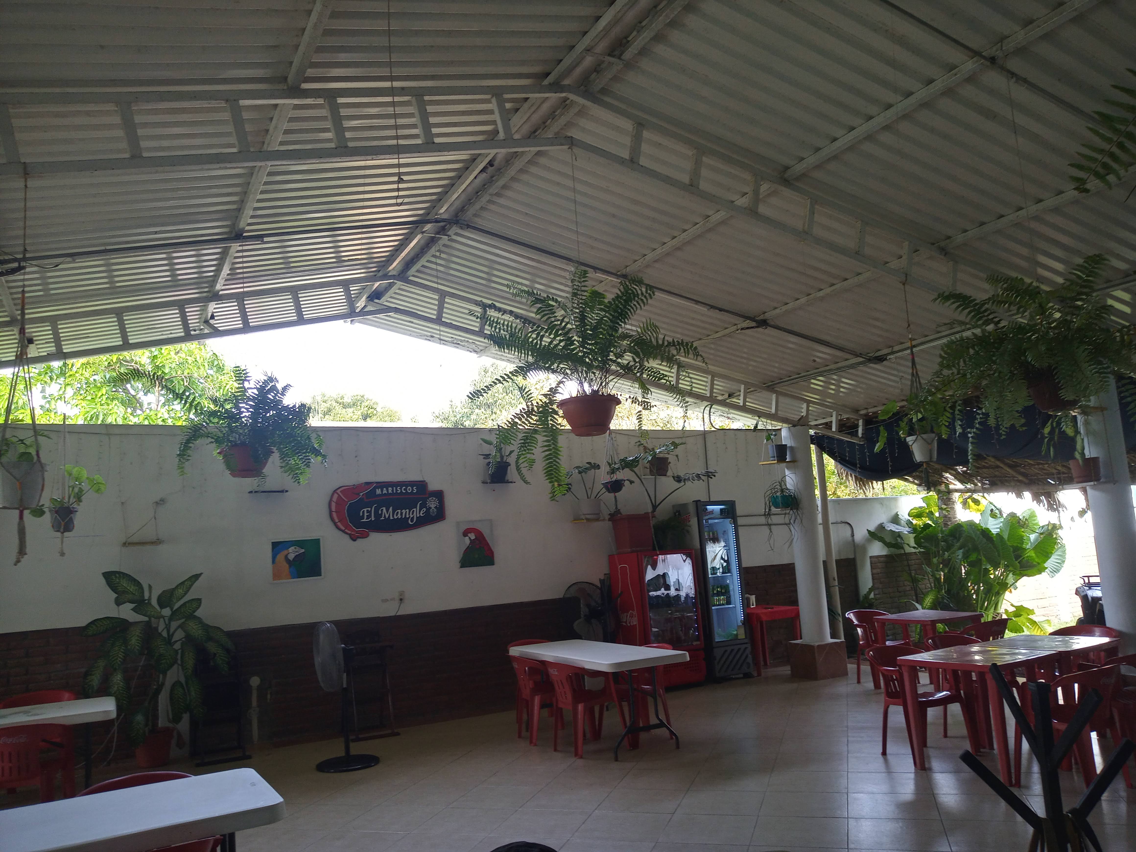 El Mangle - Mariscos image 6