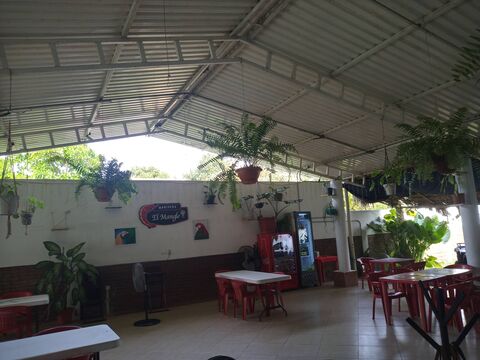 El Mangle - Mariscos image 6