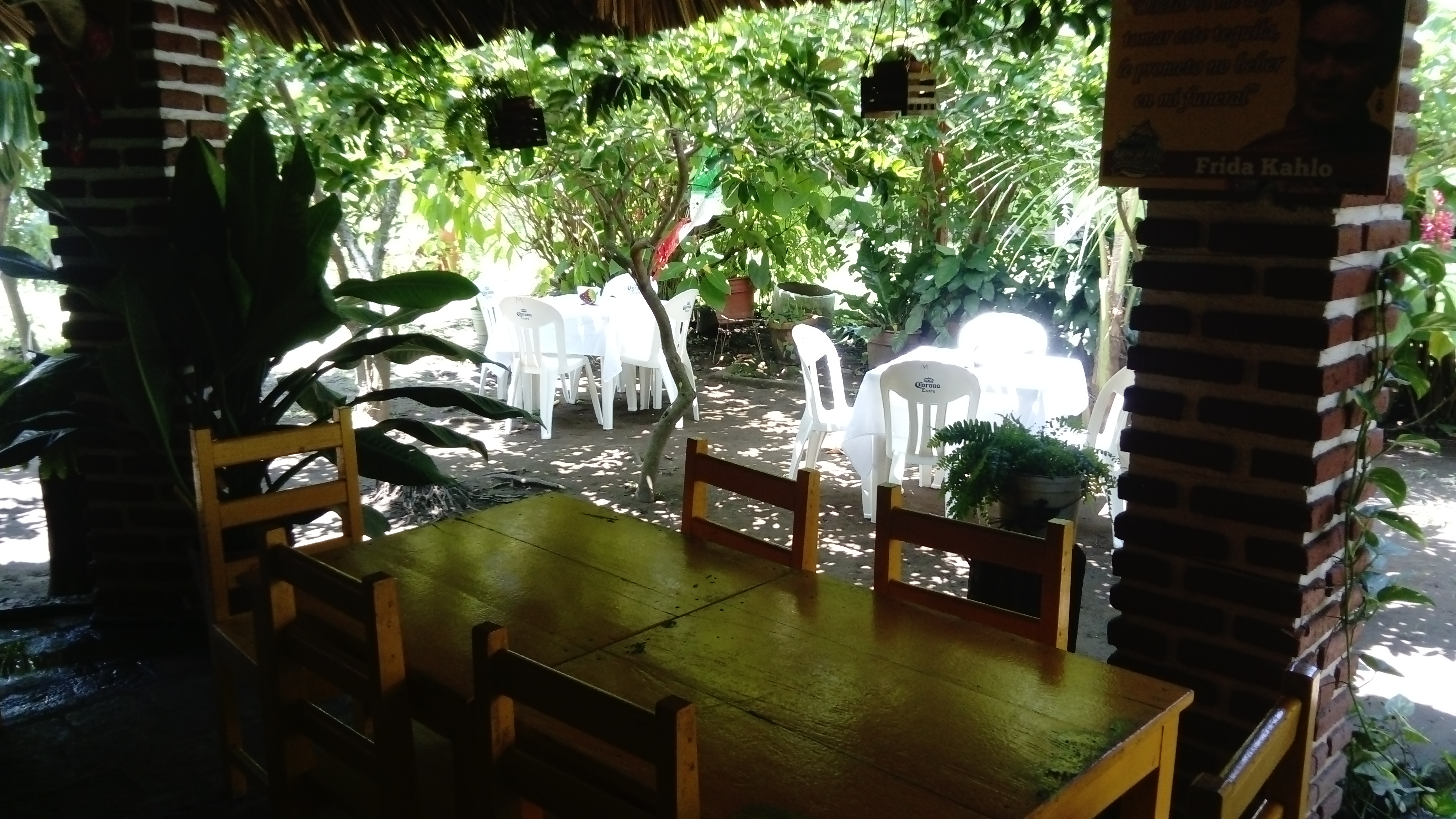 La Palapa De La Tia Mali image 1