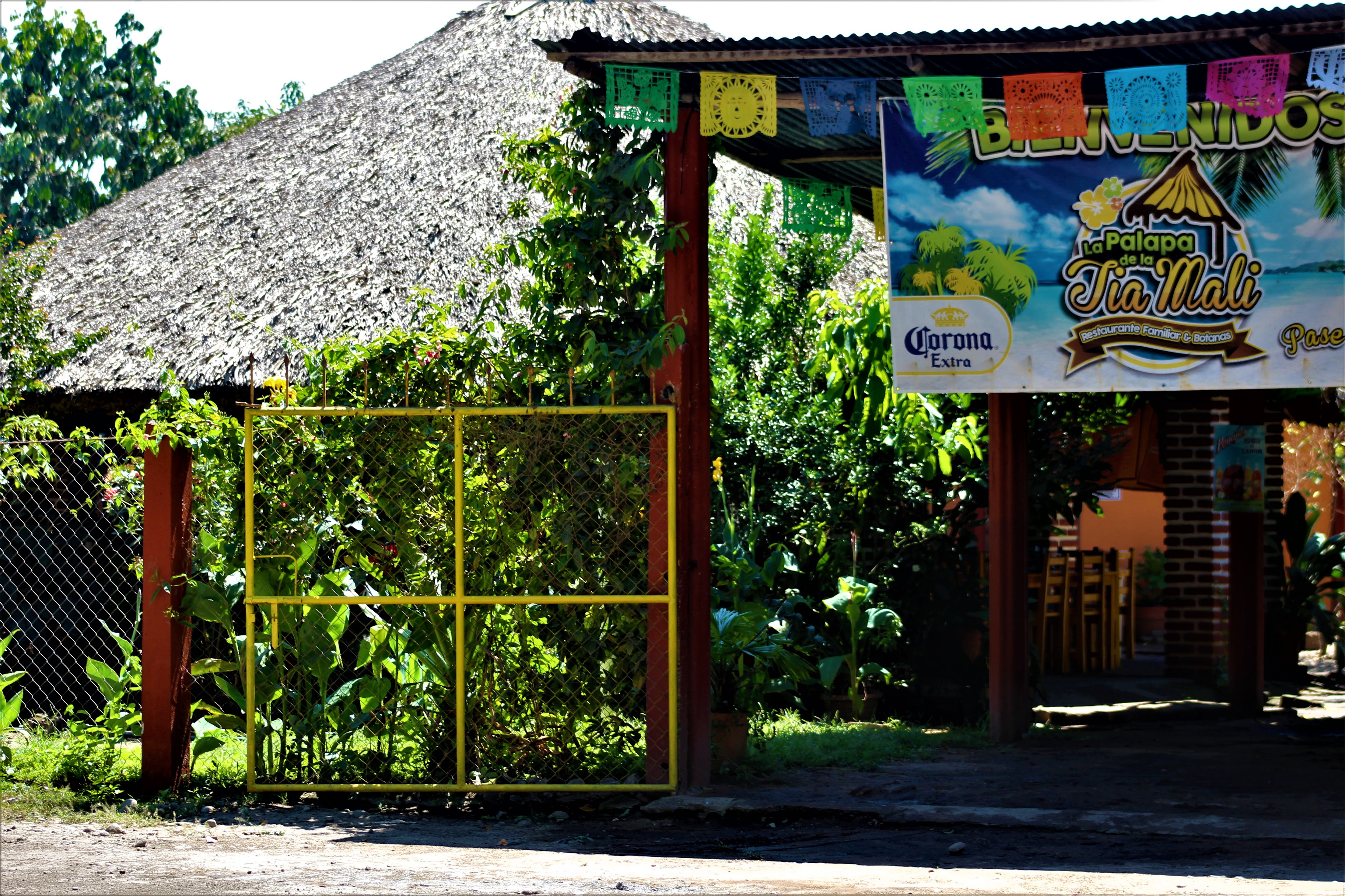 La Palapa De La Tia Mali image 4