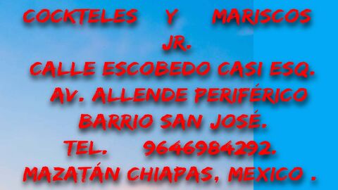 MARISCOS J.R Mazatán Chiapas image 3