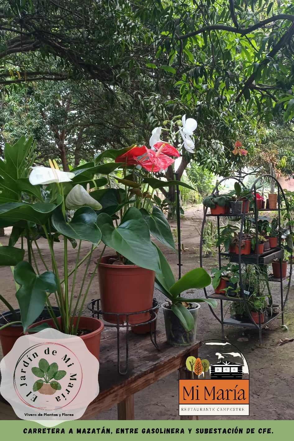 Mi María Restaurante Campestre image 8